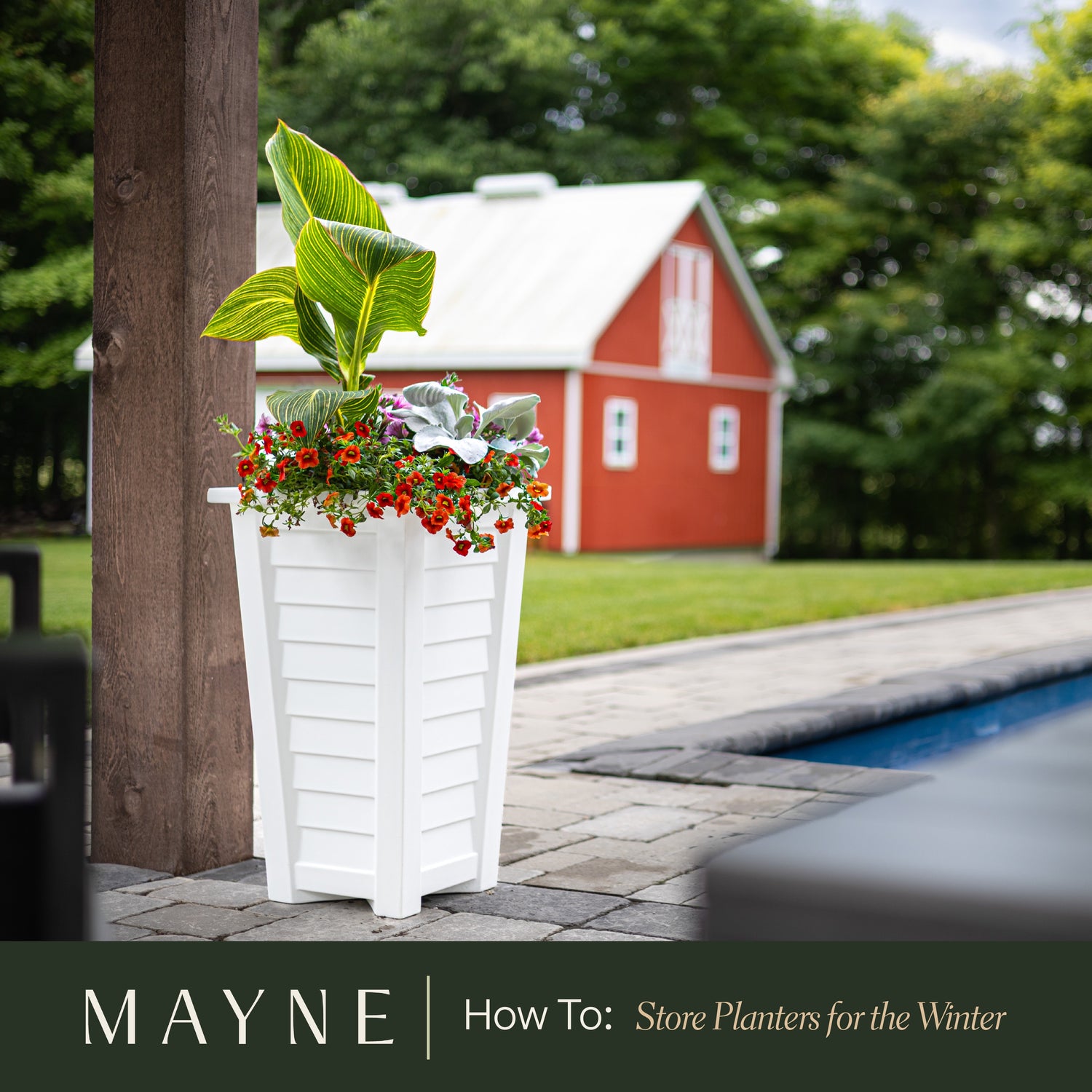 How-To: Store Planters for the Winter