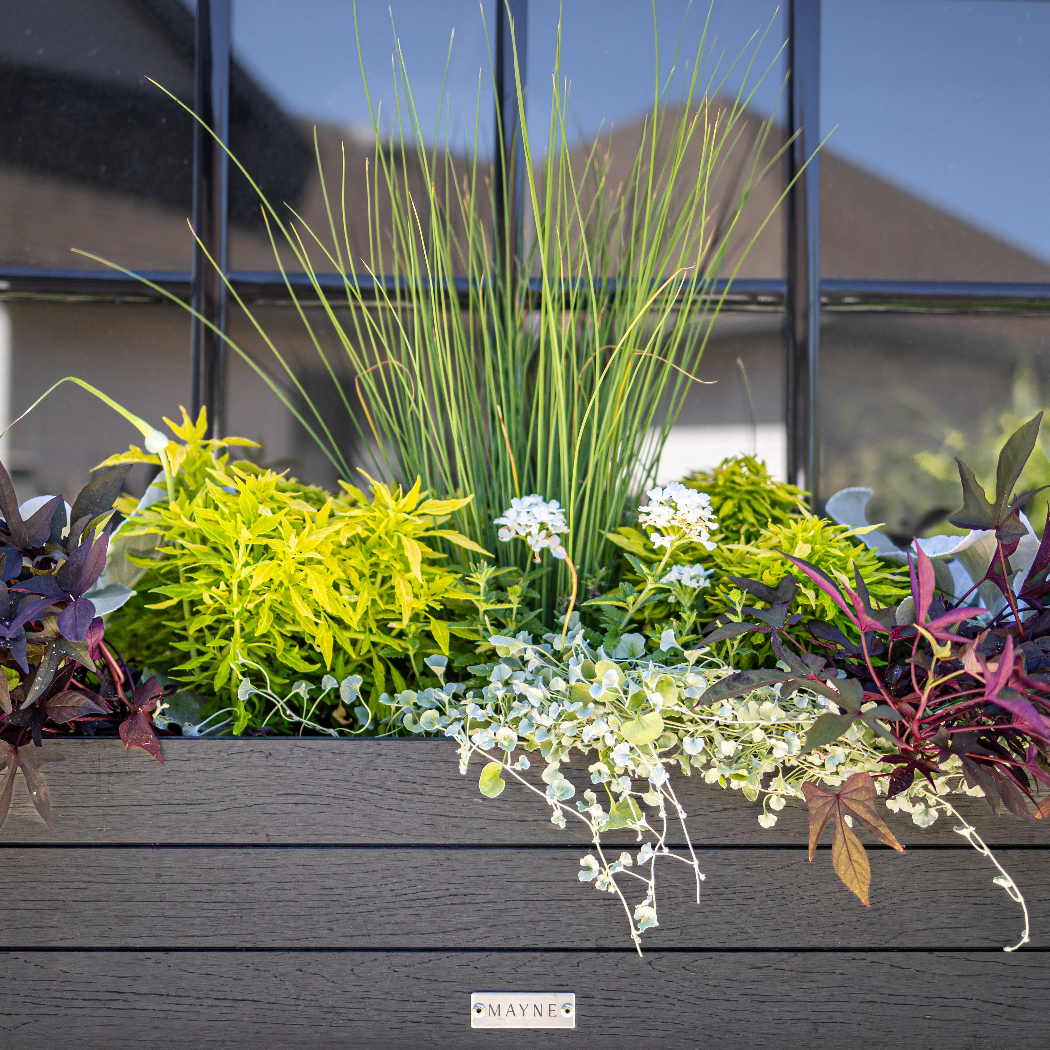 Mayne Horizon 2ft Window Box with Steel Wall Mount Brackets