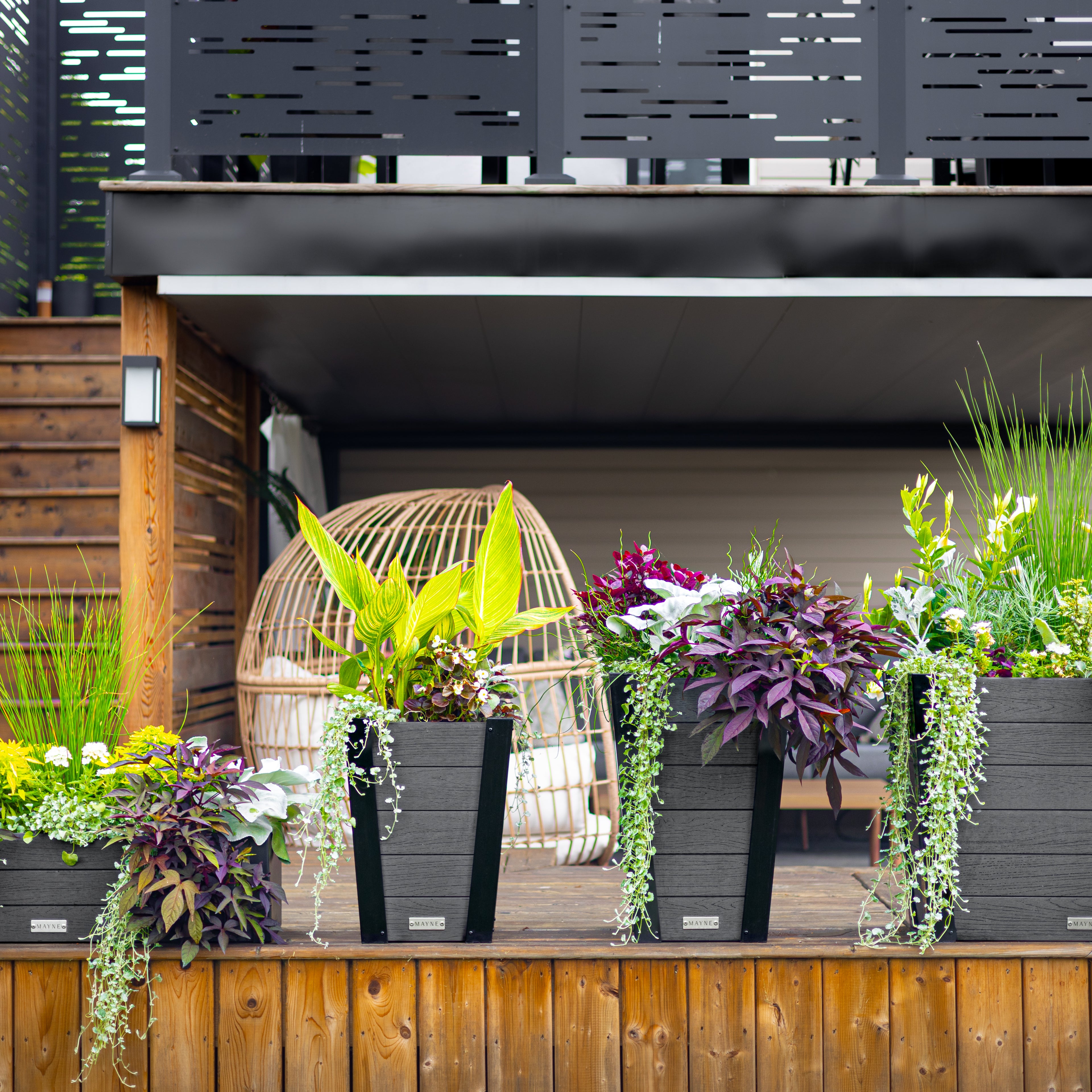 Mayne Horizon 2ft Window Box with Steel Wall Mount Brackets