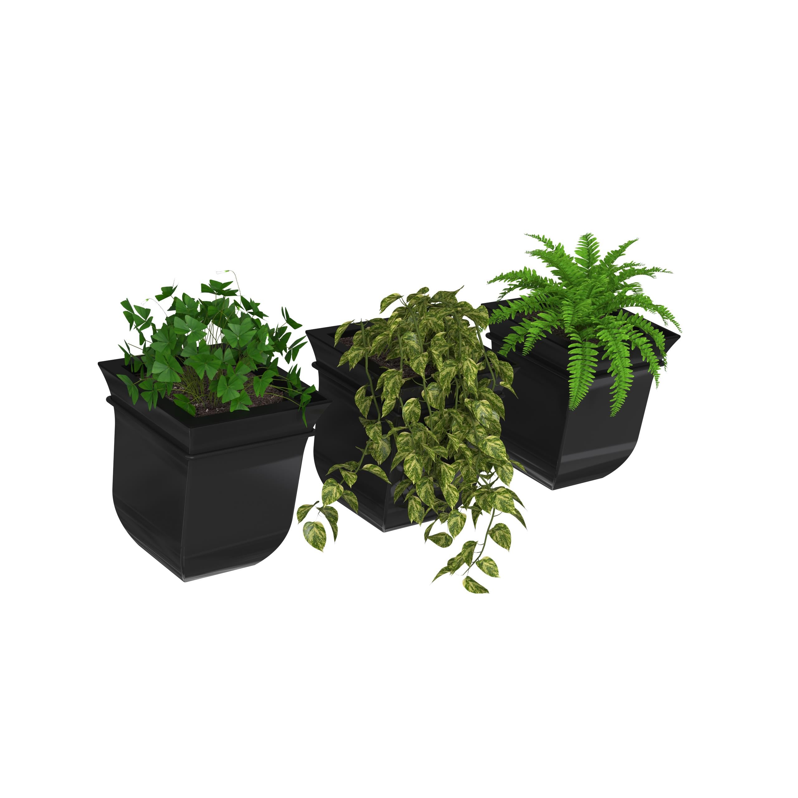 Mayne Valencia 8-Inch Self-Watering Wall Mount Planter (3-Pack)