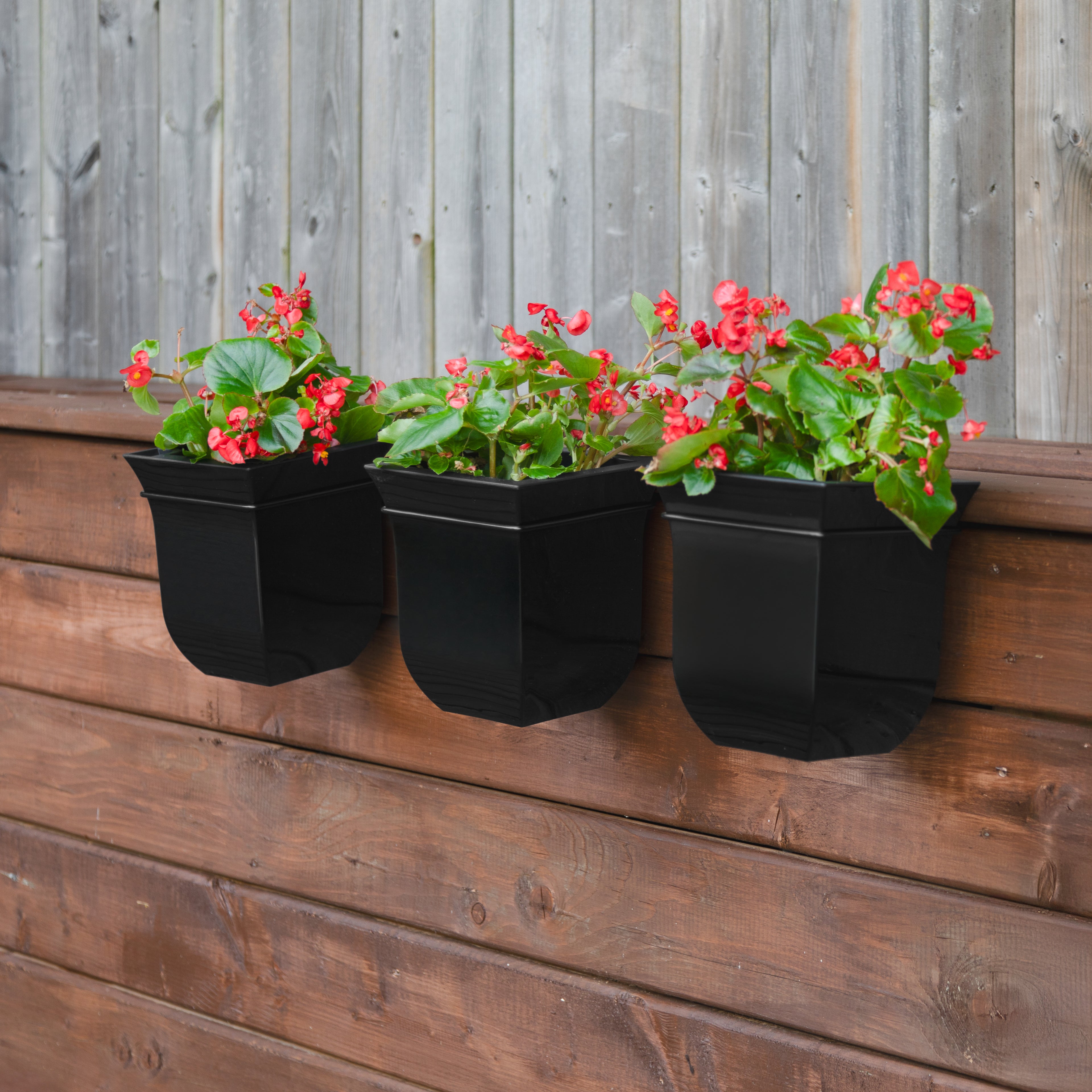 Mayne Valencia 8-Inch Self-Watering Wall Mount Planter (3-Pack)