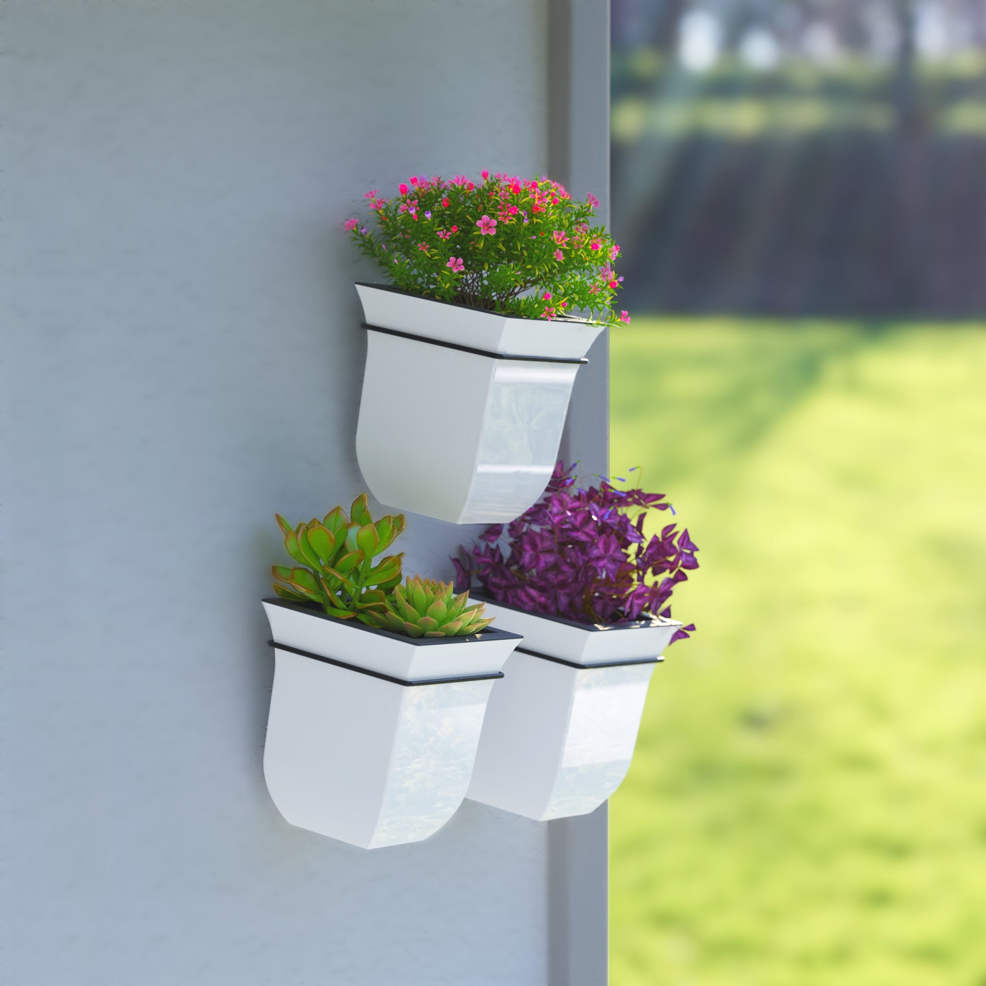 Valencia 8in Wall Mount Planter - 3-Pack