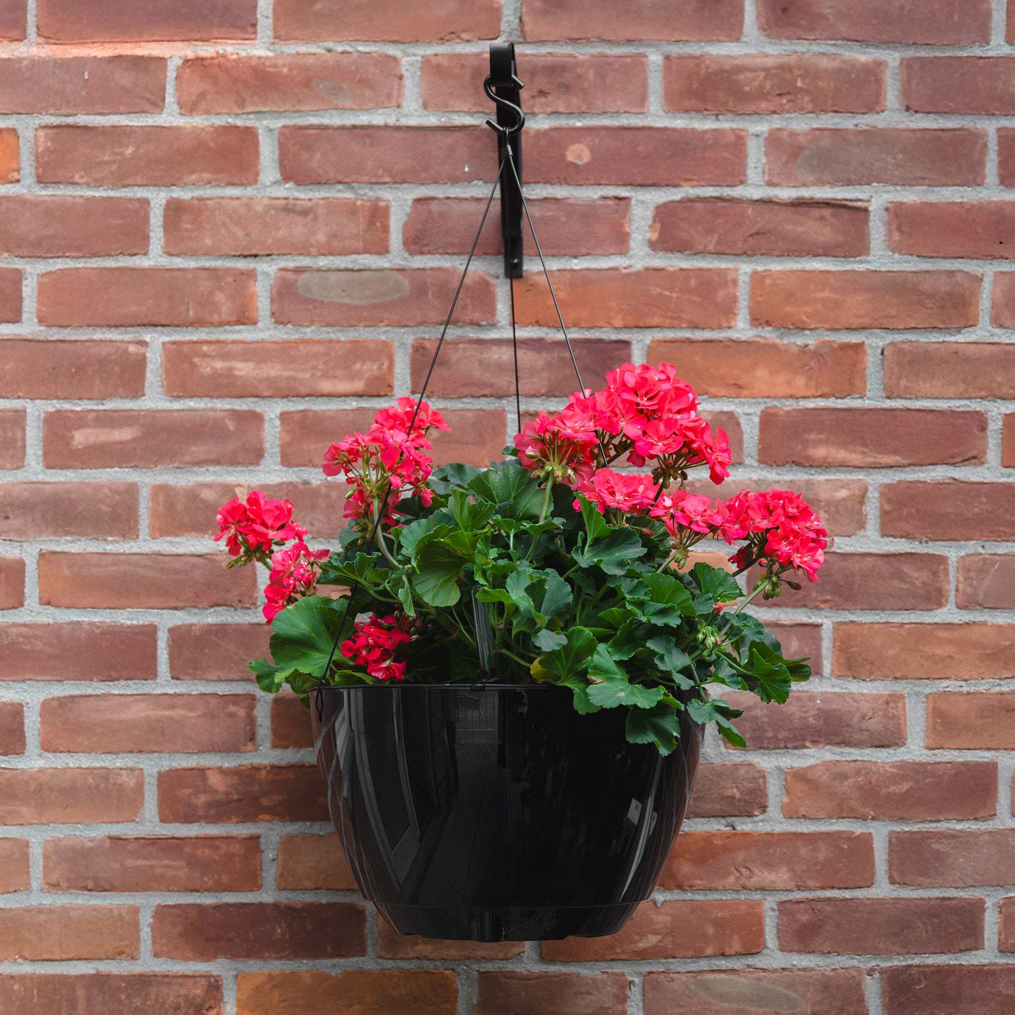 Mayne Caprio 14-Inch Self-Watering Hanging Planter with Water Level Indicator