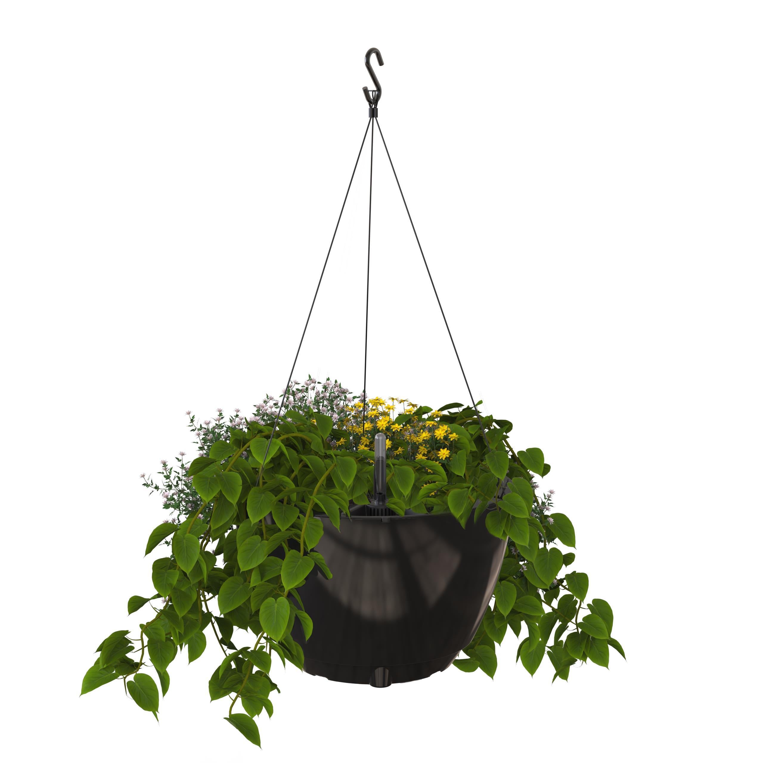 Mayne Caprio 14-Inch Self-Watering Hanging Planter with Water Level Indicator