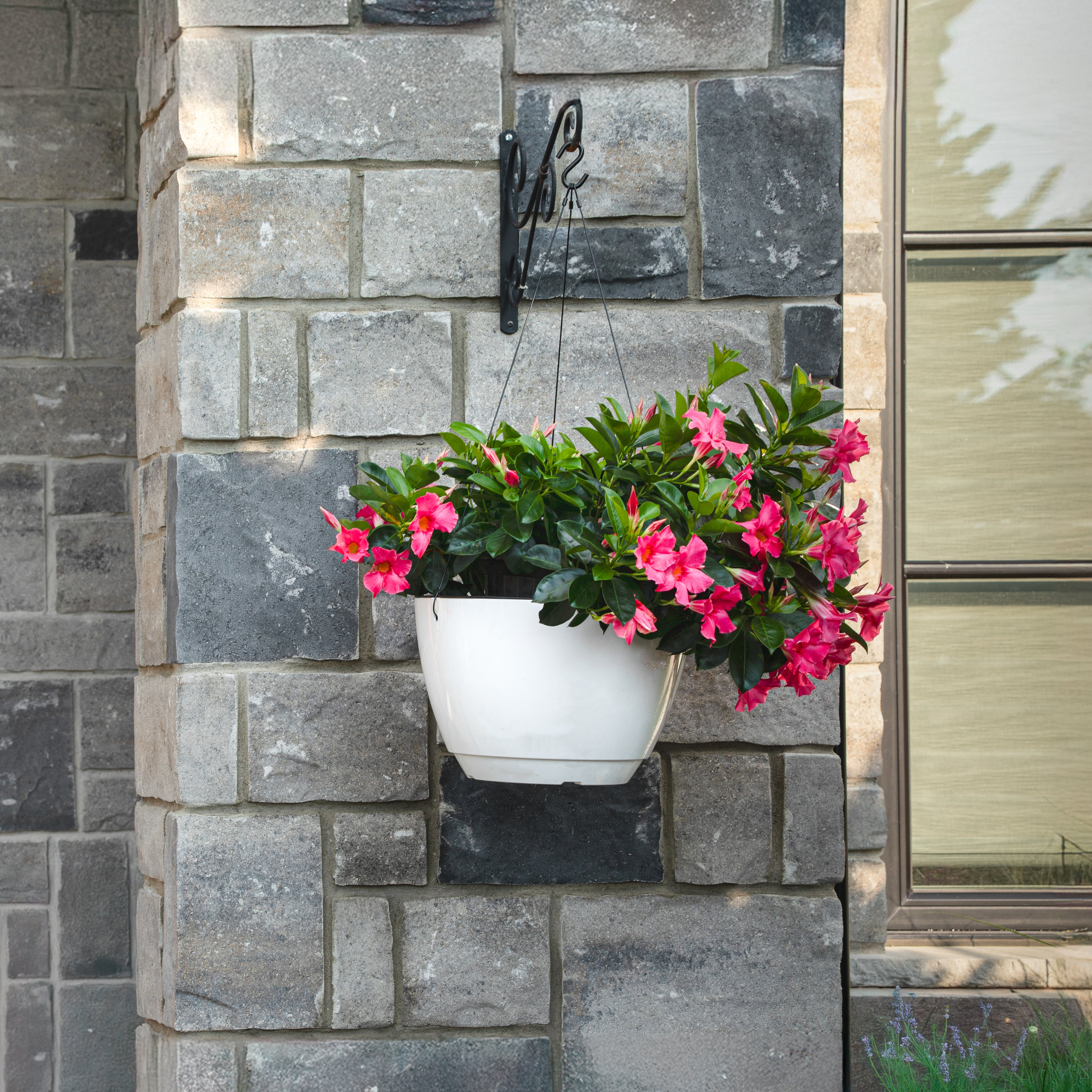 Mayne Caprio 14-Inch Self-Watering Hanging Planter with Water Level Indicator