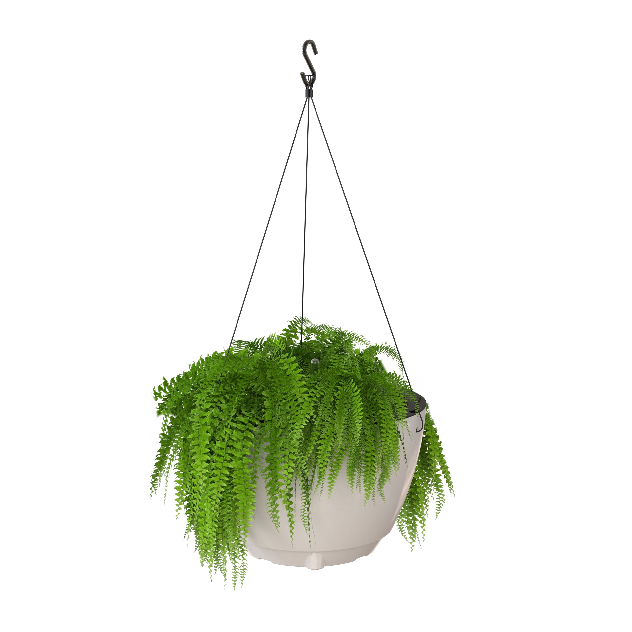 Mayne Caprio Hanging Planter