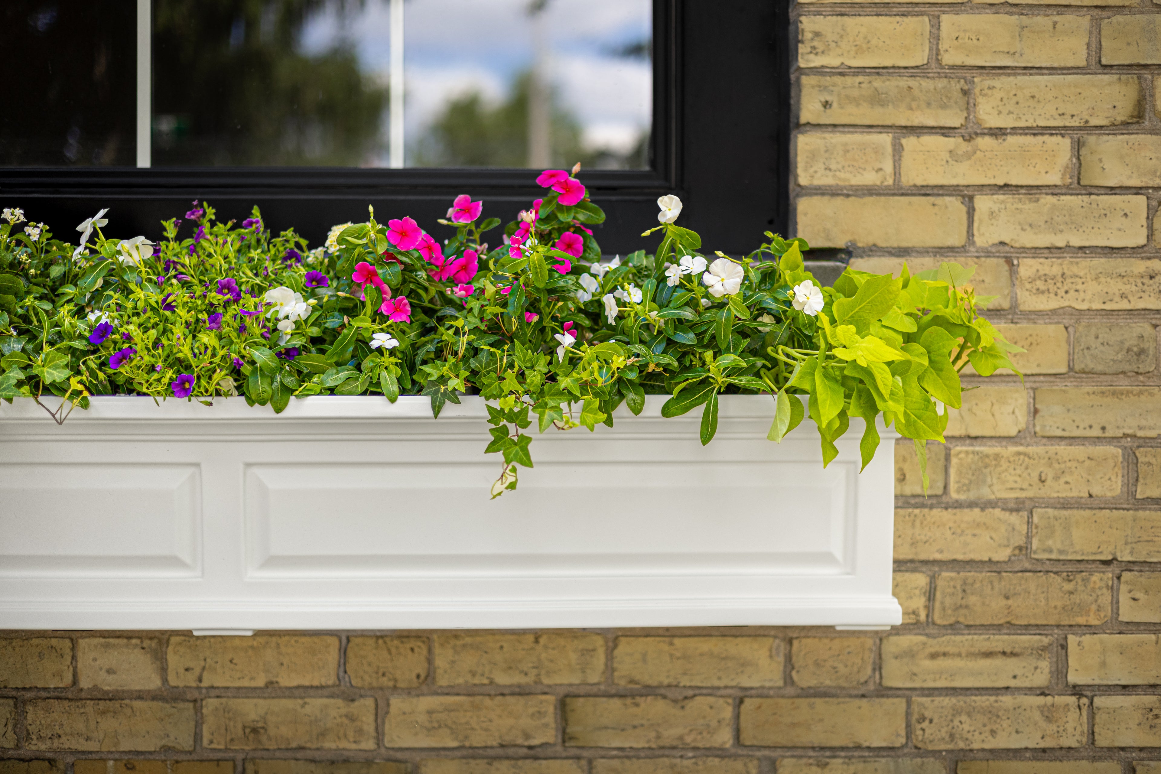 Mayne Nantucket 4ft Self-Watering Window Box with Steel Wall Mount Brackets