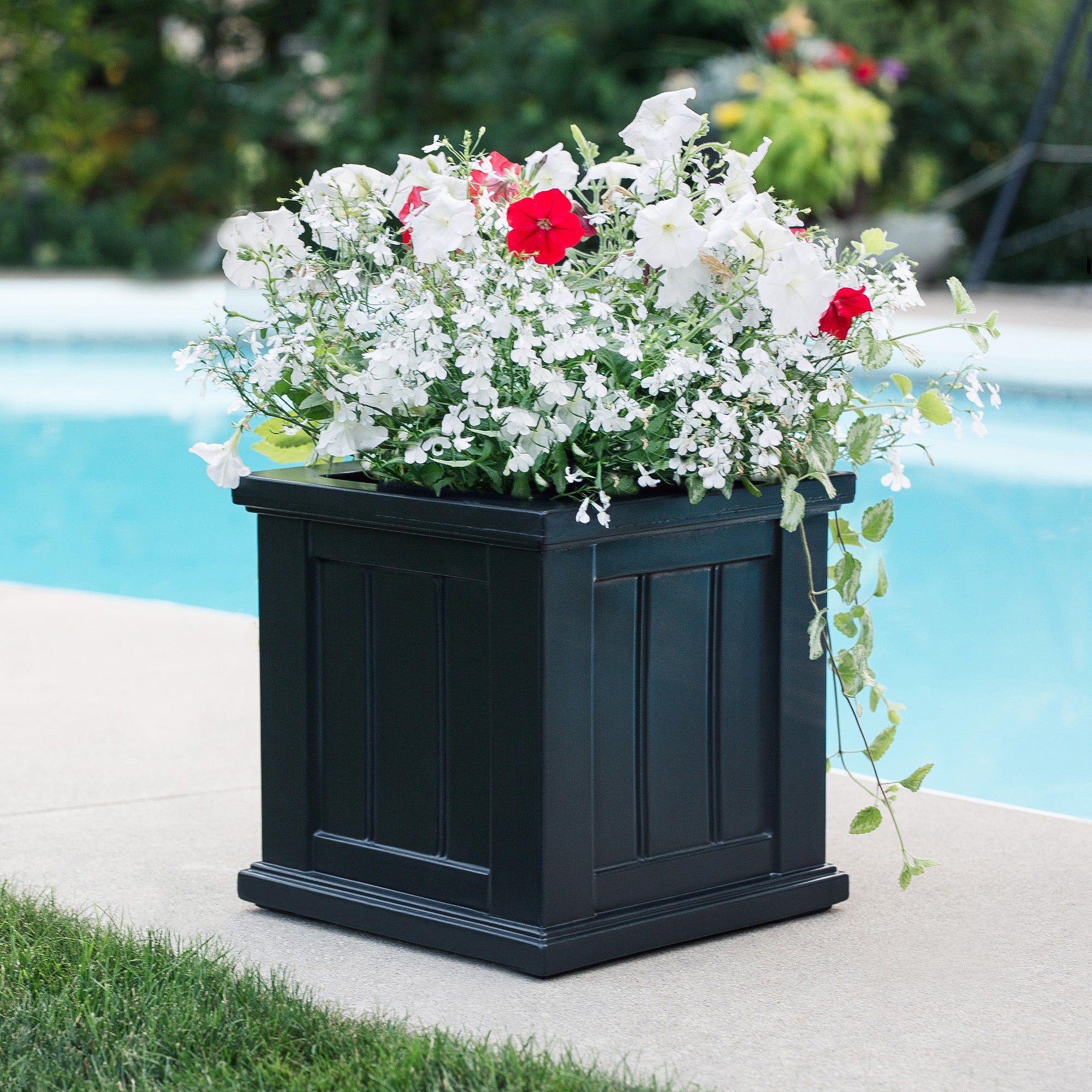 Mayne Cape Cod 14in Square Planter