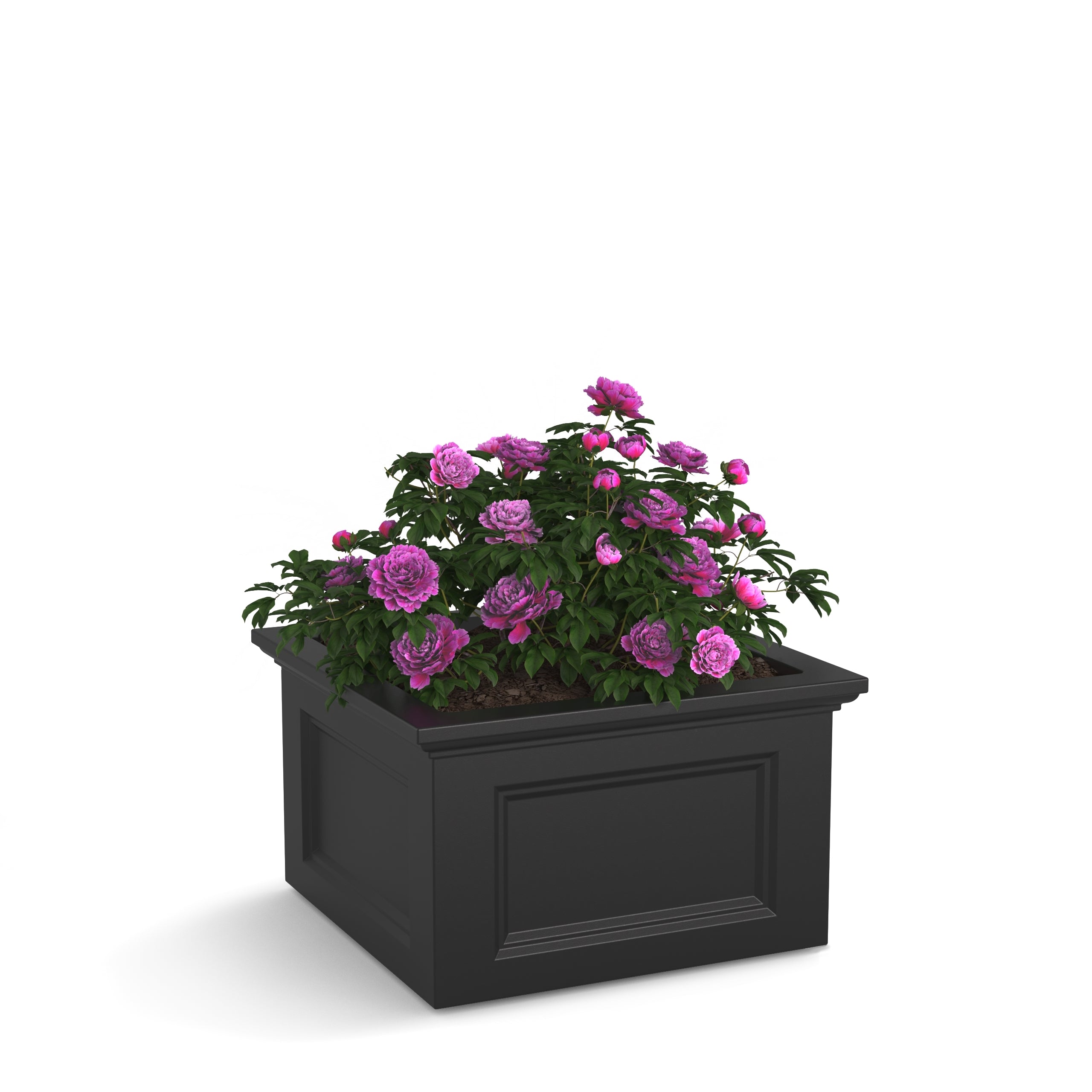 Mayne Fairfield 24in x 24in Garden Bed
