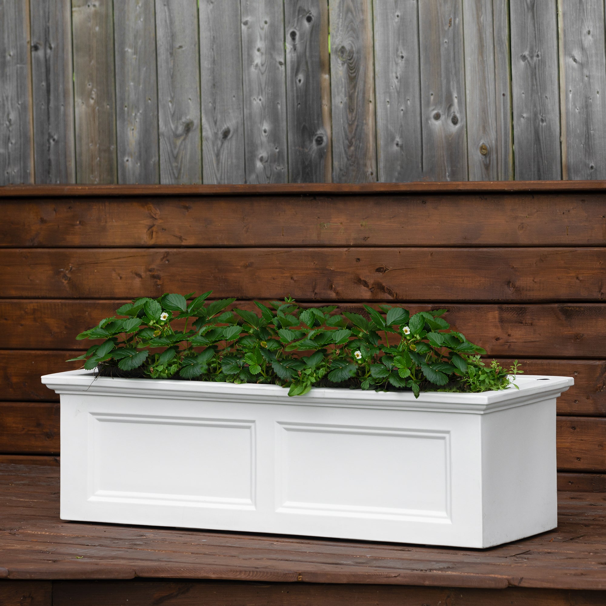Mayne Fairfield 48-Inch Self-Watering Rectangle Garden Bed