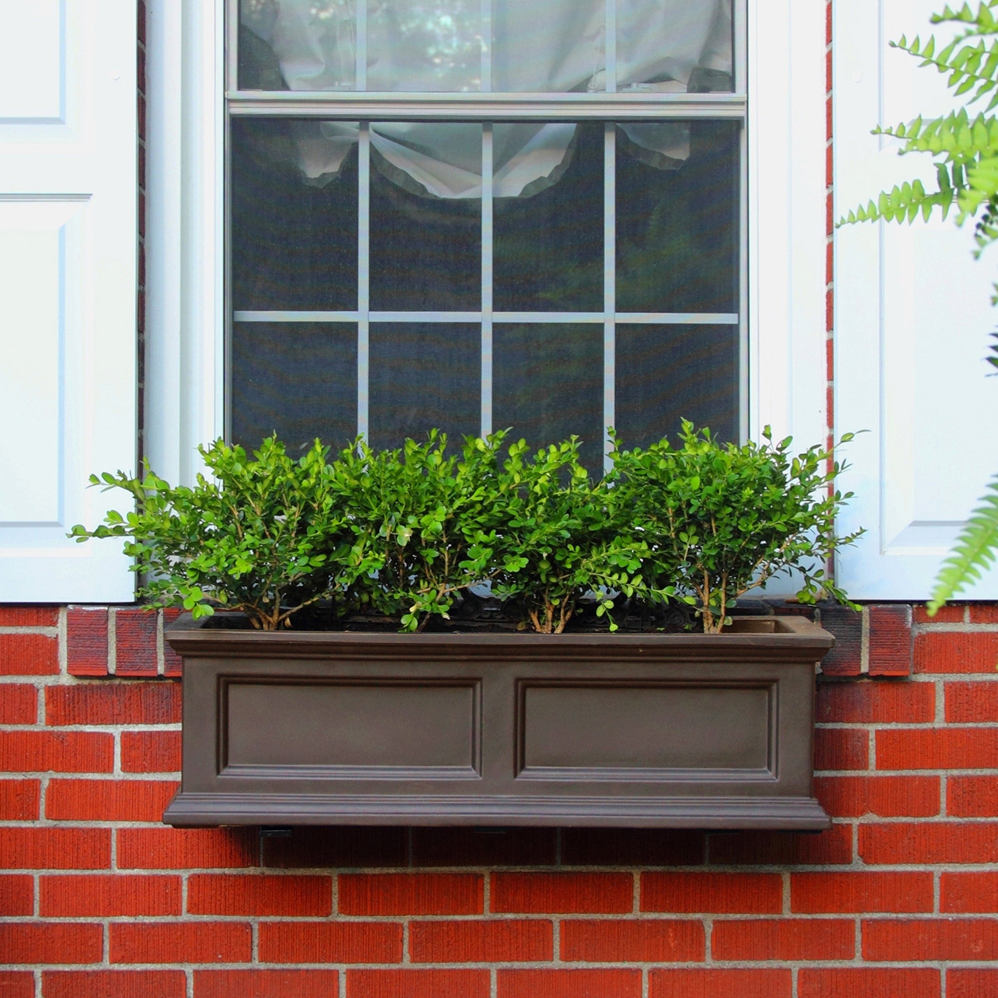 Mayne Fairfield 3ft Self-Watering Window Box with Steel Wall Mount Brackets