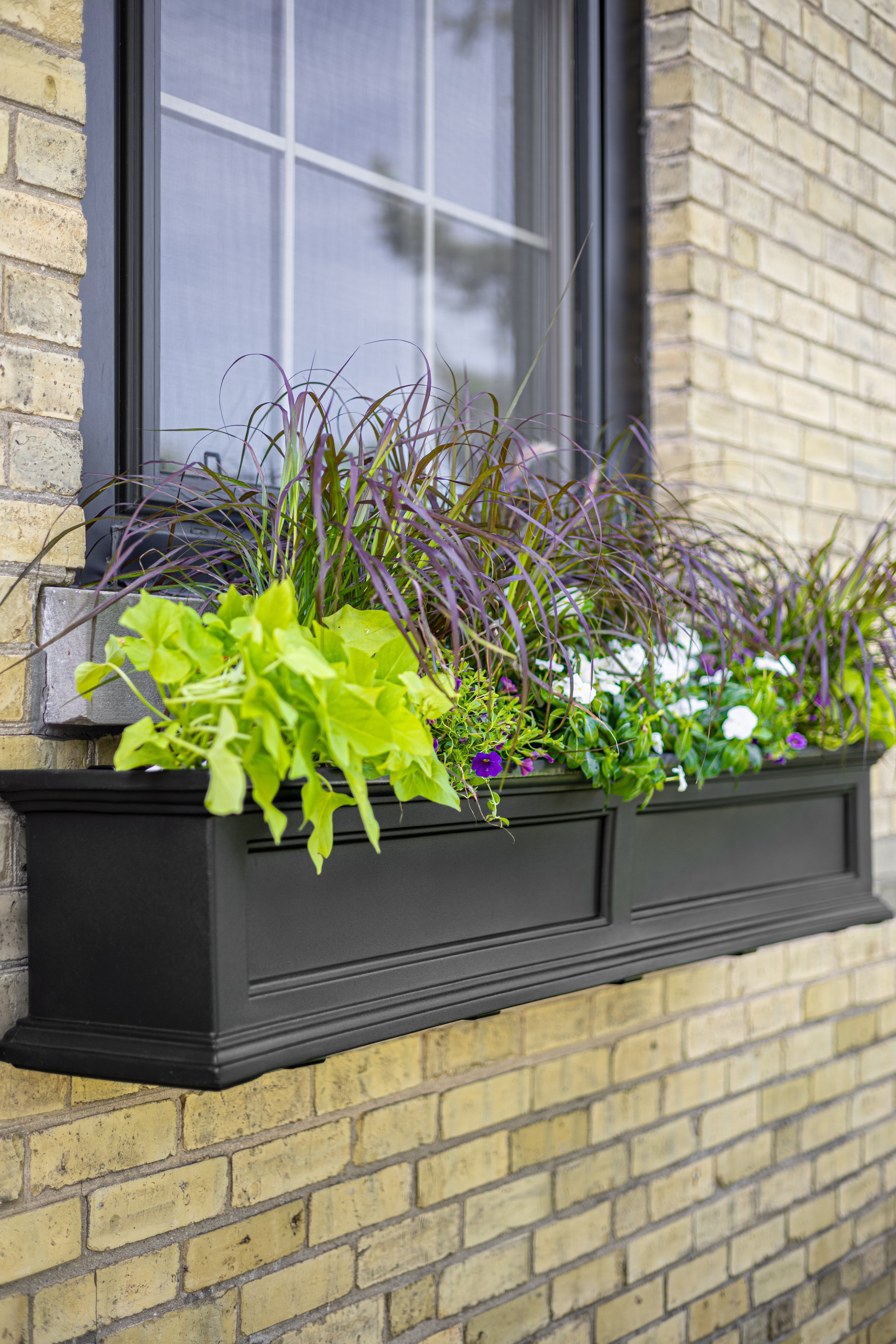 Mayne Fairfield 4ft Self-Watering Window Box with Steel Wall Mount Brackets