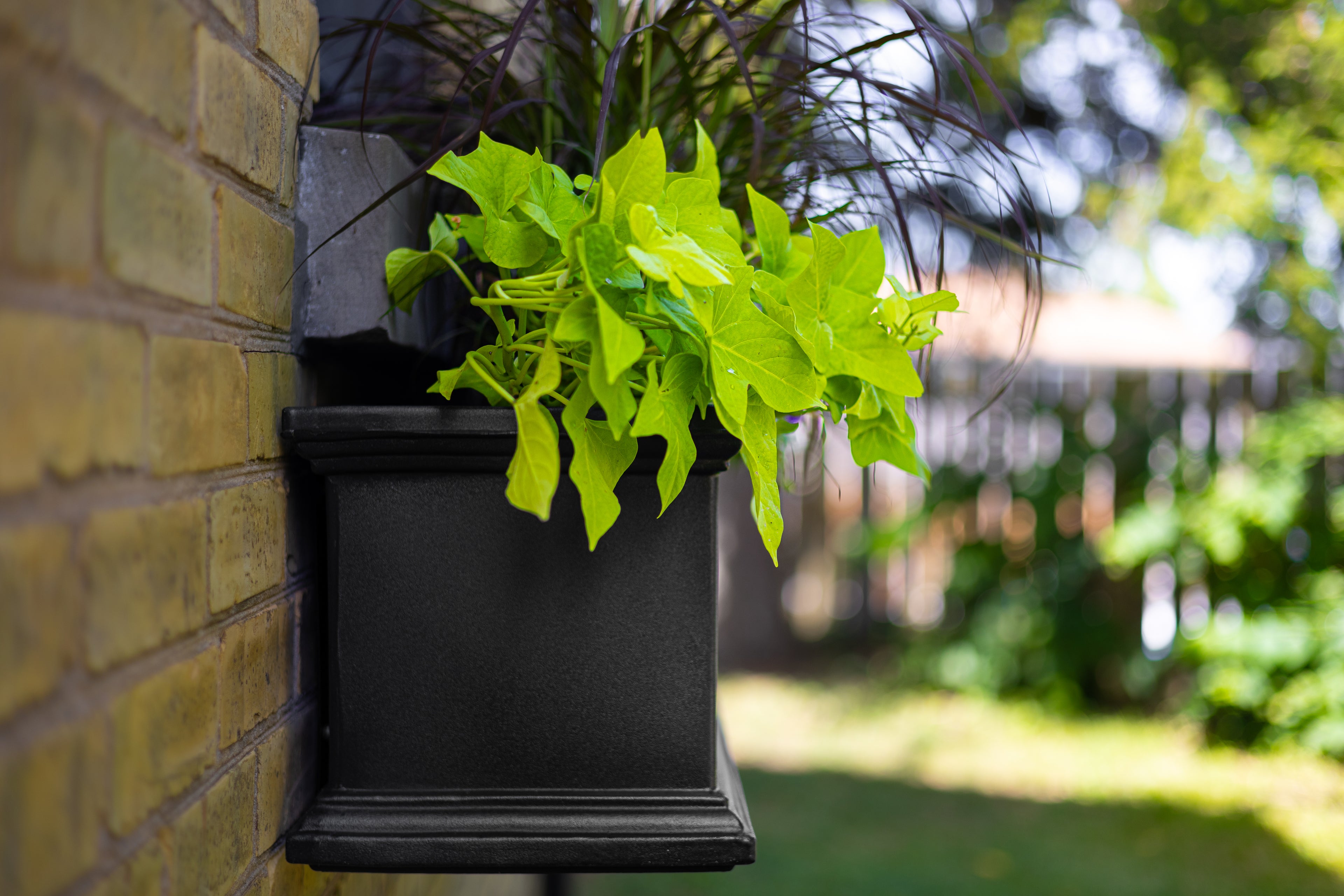 Mayne Fairfield 4ft Self-Watering Window Box with Steel Wall Mount Brackets