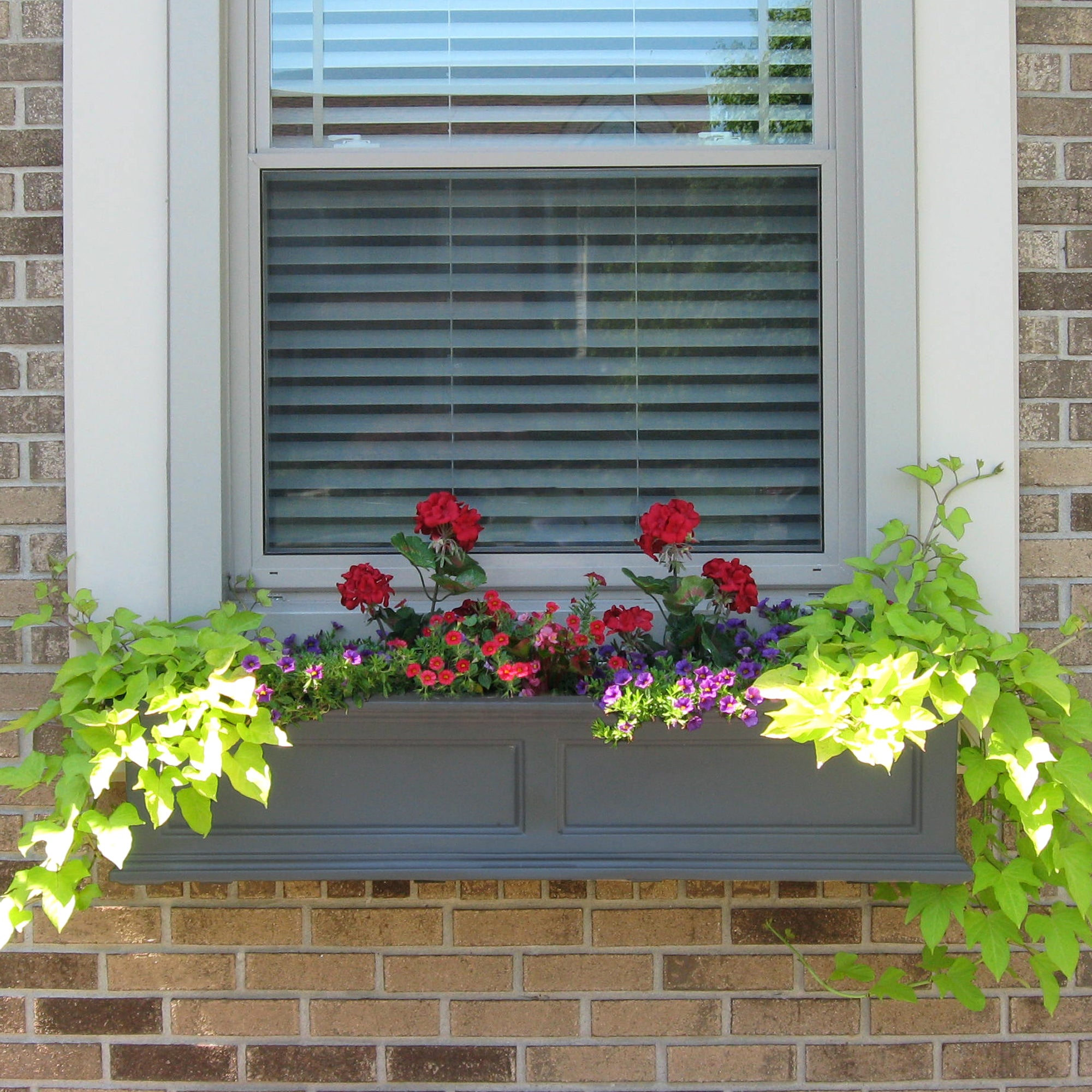 Mayne Fairfield 4ft Window Box