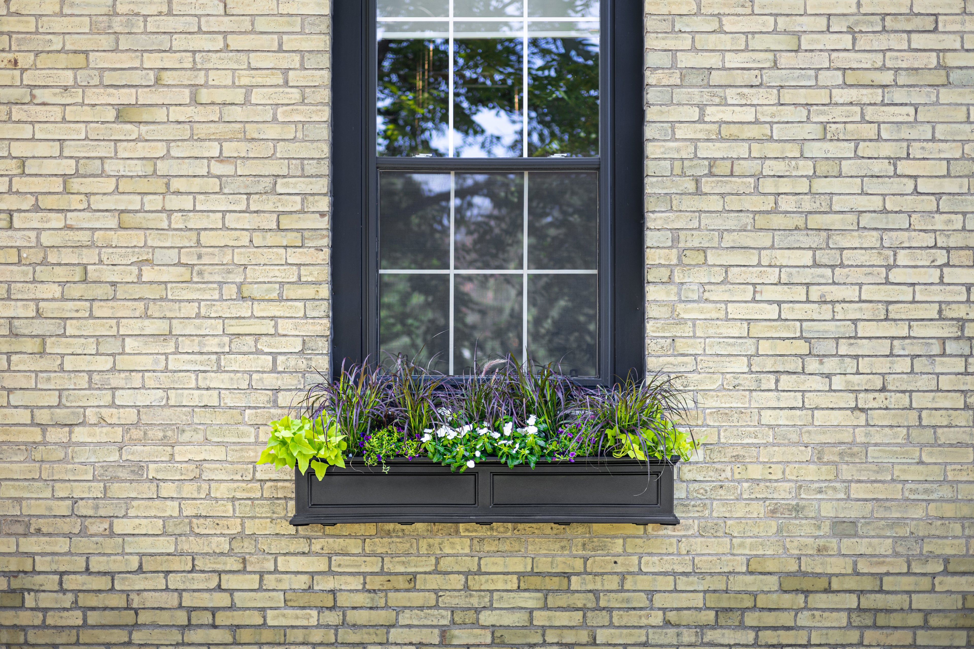 Mayne Fairfield 5ft Self-Watering Window Box with Steel Wall Mount Brackets