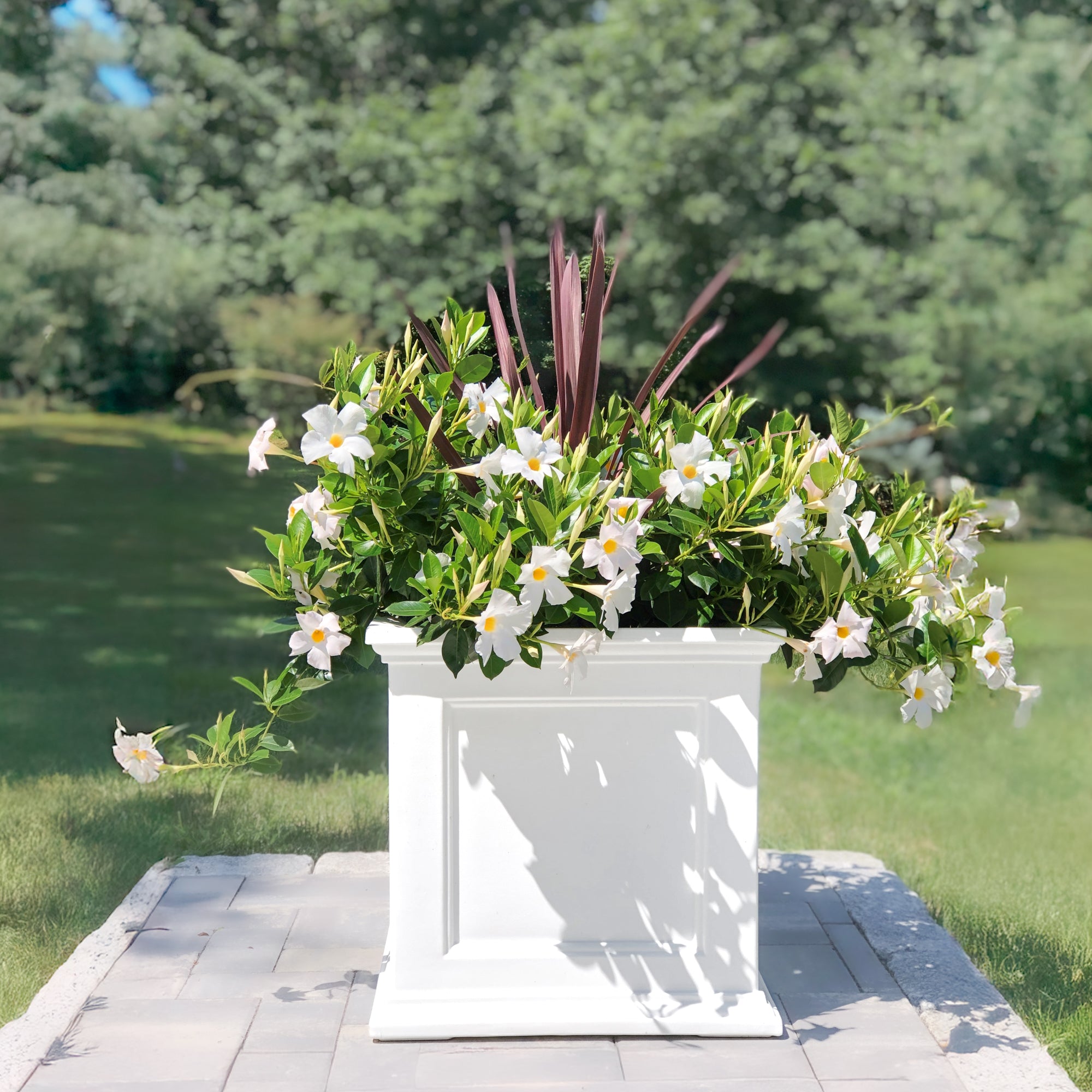 Mayne Fairfield 20-Inch Self-Watering Square Planter