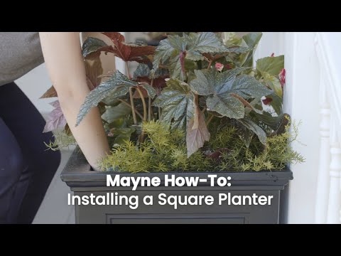 Mayne Cape Cod 16in Square Planter