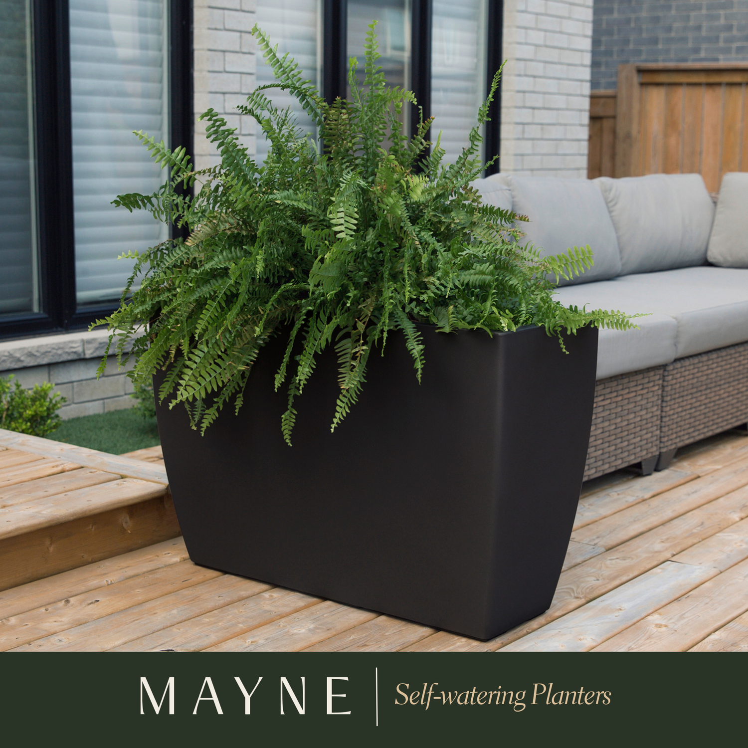 Why Self-Watering Planters Are the Secret to Thriving Plants (Even If You Forget to Water)