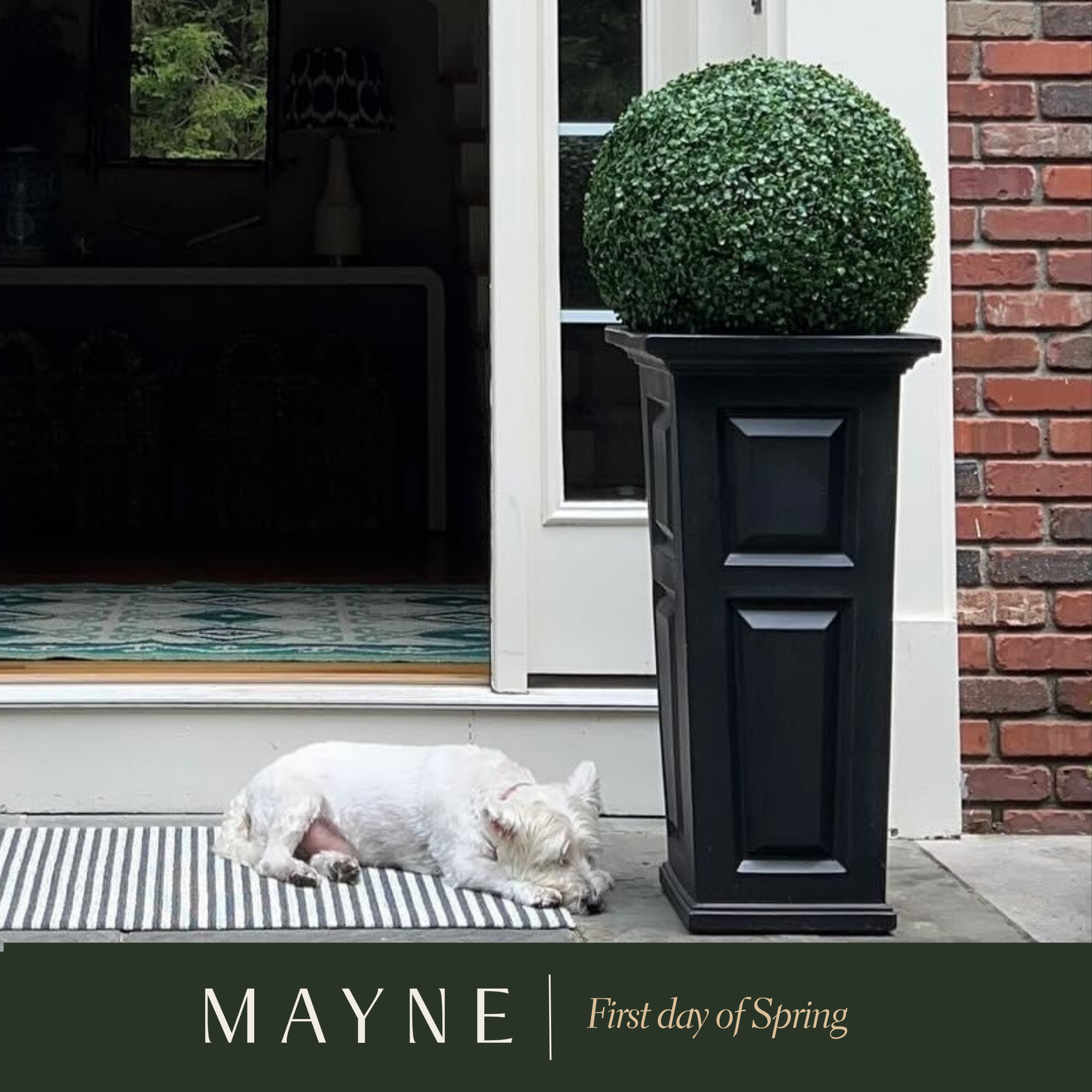 First Day of SPRING!