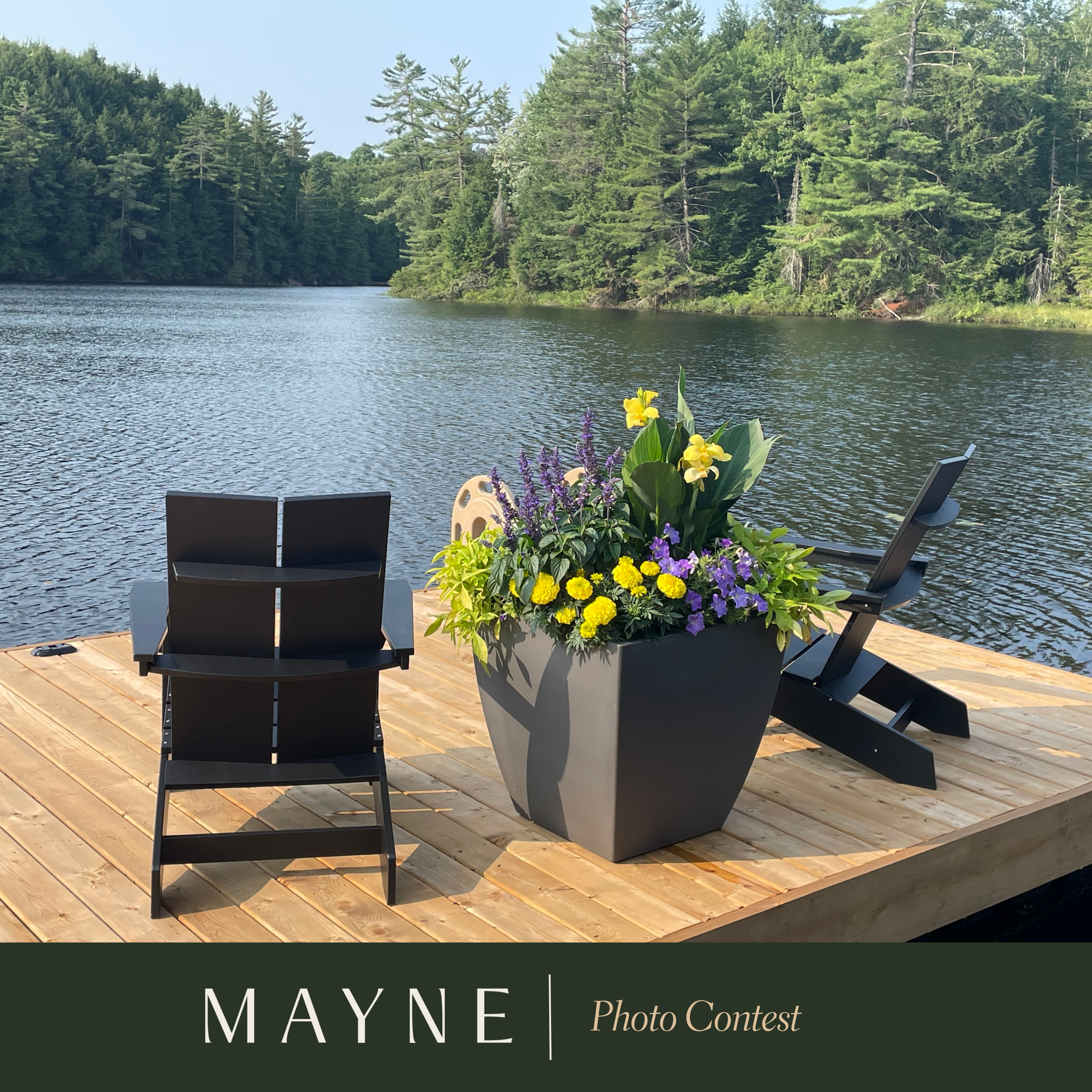 Snap Happy: Meet Our Photo Contest Winners!