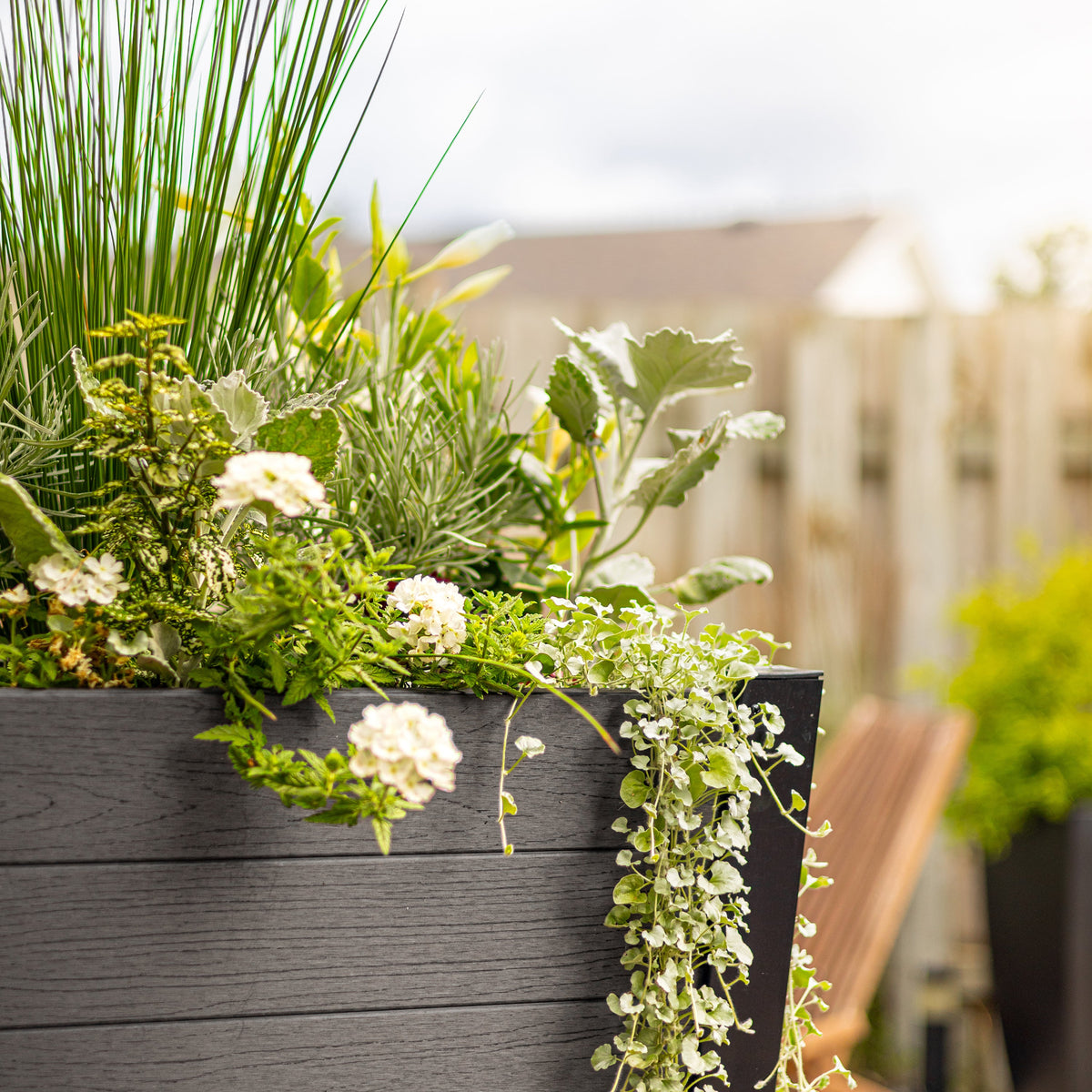 Horizon Planter Collection