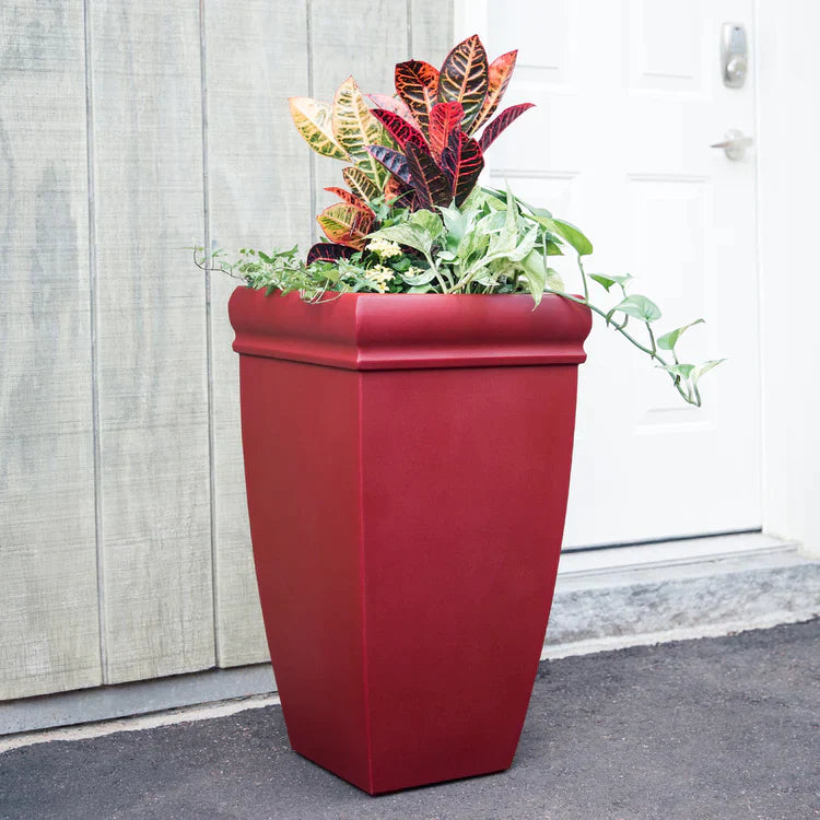 Statement Planters