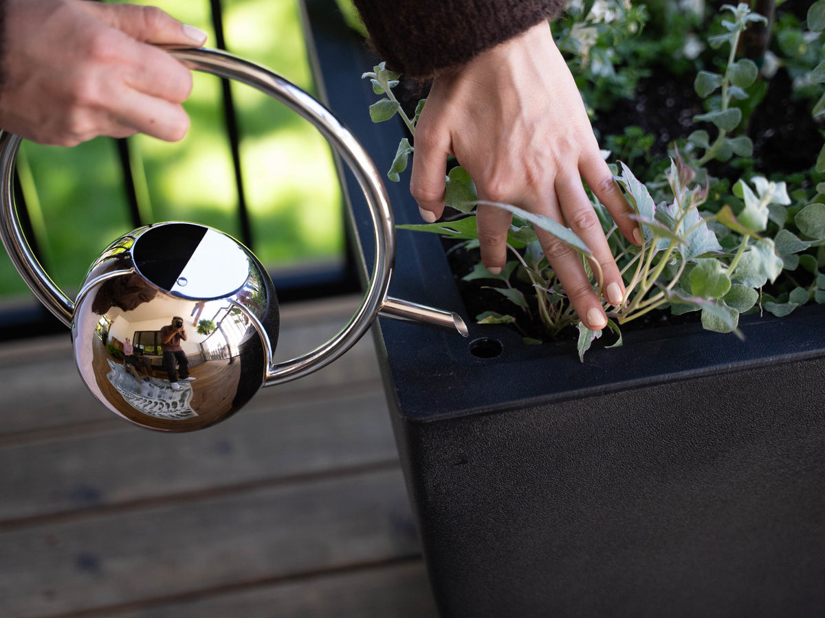 Self-Watering Planters