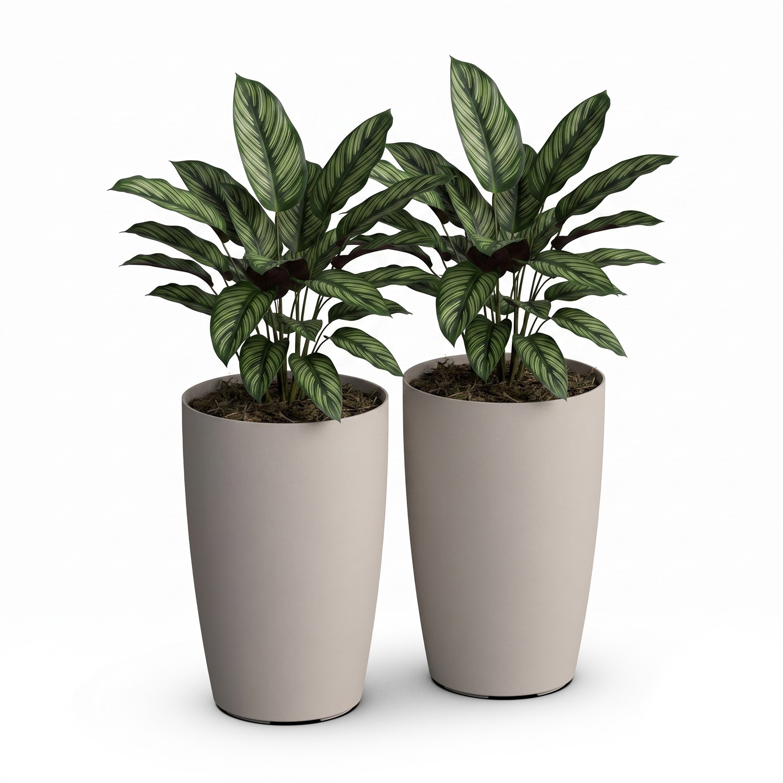 Mayne Solace Planter with Removable Planting Tray