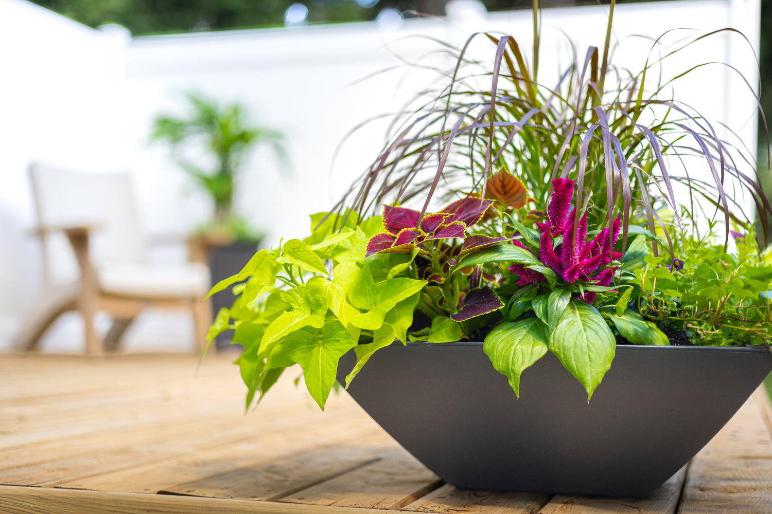 bowl pot planter Mayne Evolve 20-Inch Square Tapered Bowl Planter