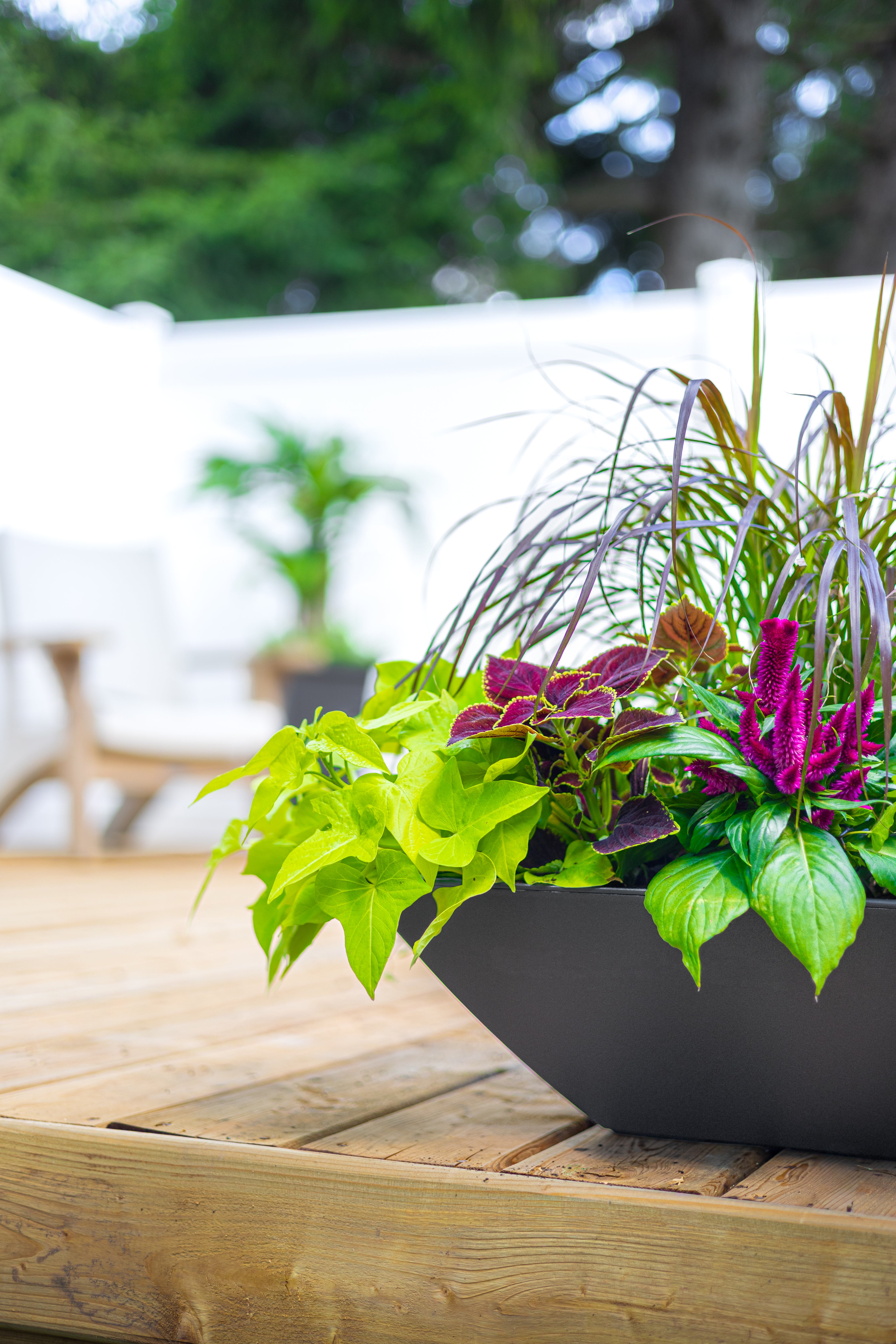 Mayne Evolve 20-Inch Square Tapered Bowl Planter