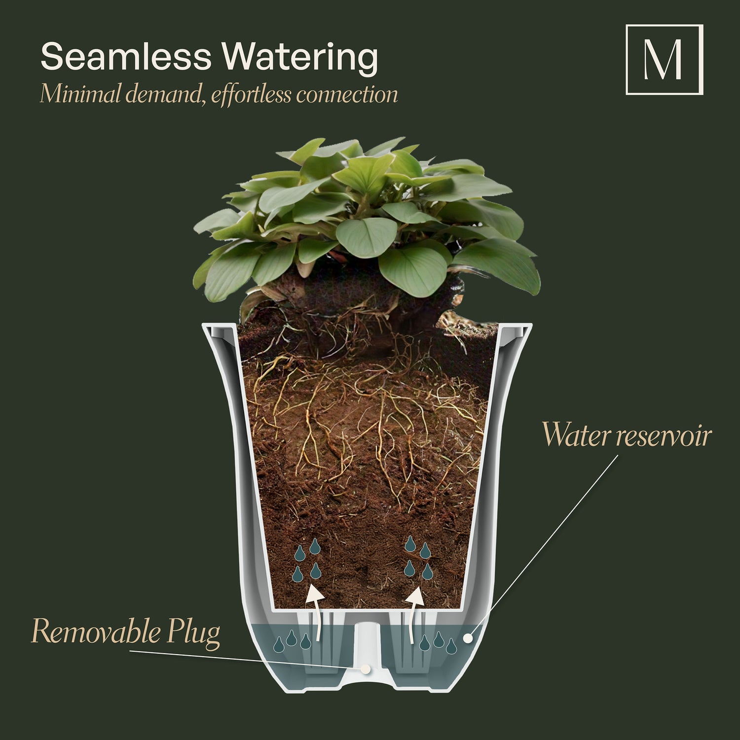 Mayne Valencia 8-Inch Self-Watering Wall Mount Planter (3-Pack)