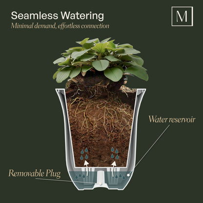 Mayne Valencia 8-Inch Self-Watering Wall Mount Planter (3-Pack)