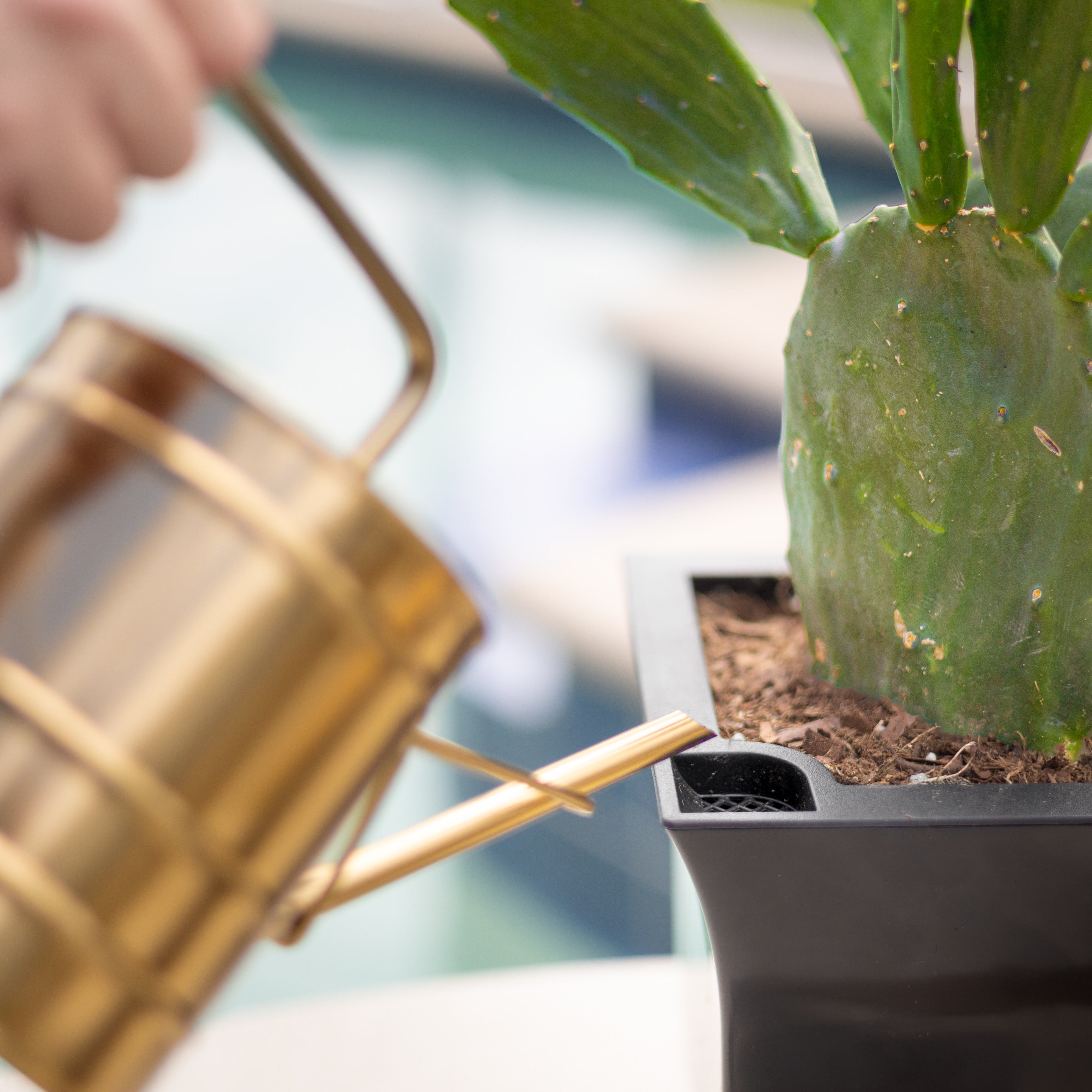 Mayne Valencia 8-Inch Self-Watering Wall Mount Planter (3-Pack)
