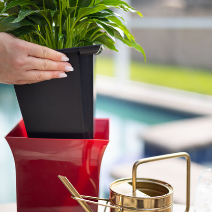 Mayne Valencia 8-Inch Self-Watering Wall Mount Planter (3-Pack)