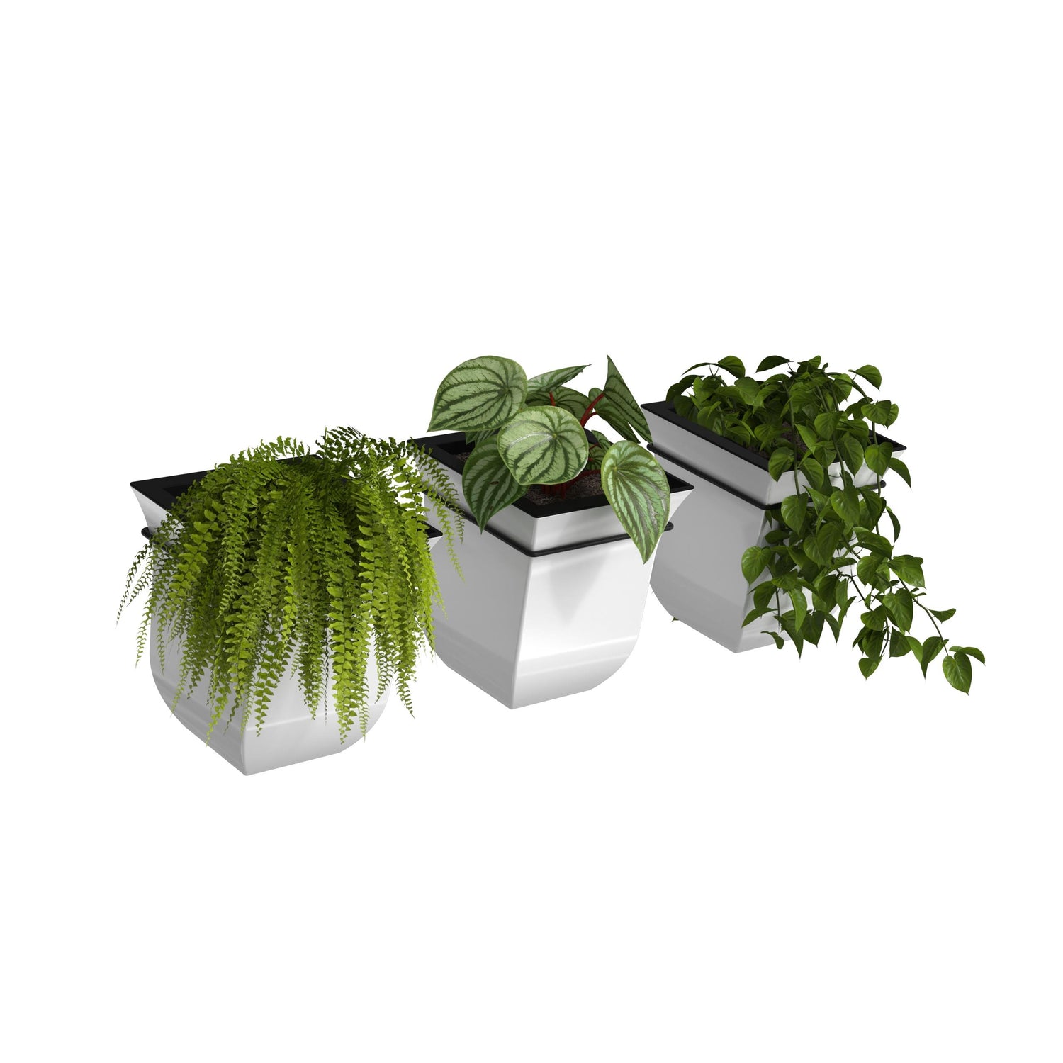 8 self watering planter Mayne Valencia 8-Inch Self-Watering Wall Mount Planter (3-Pack) Black