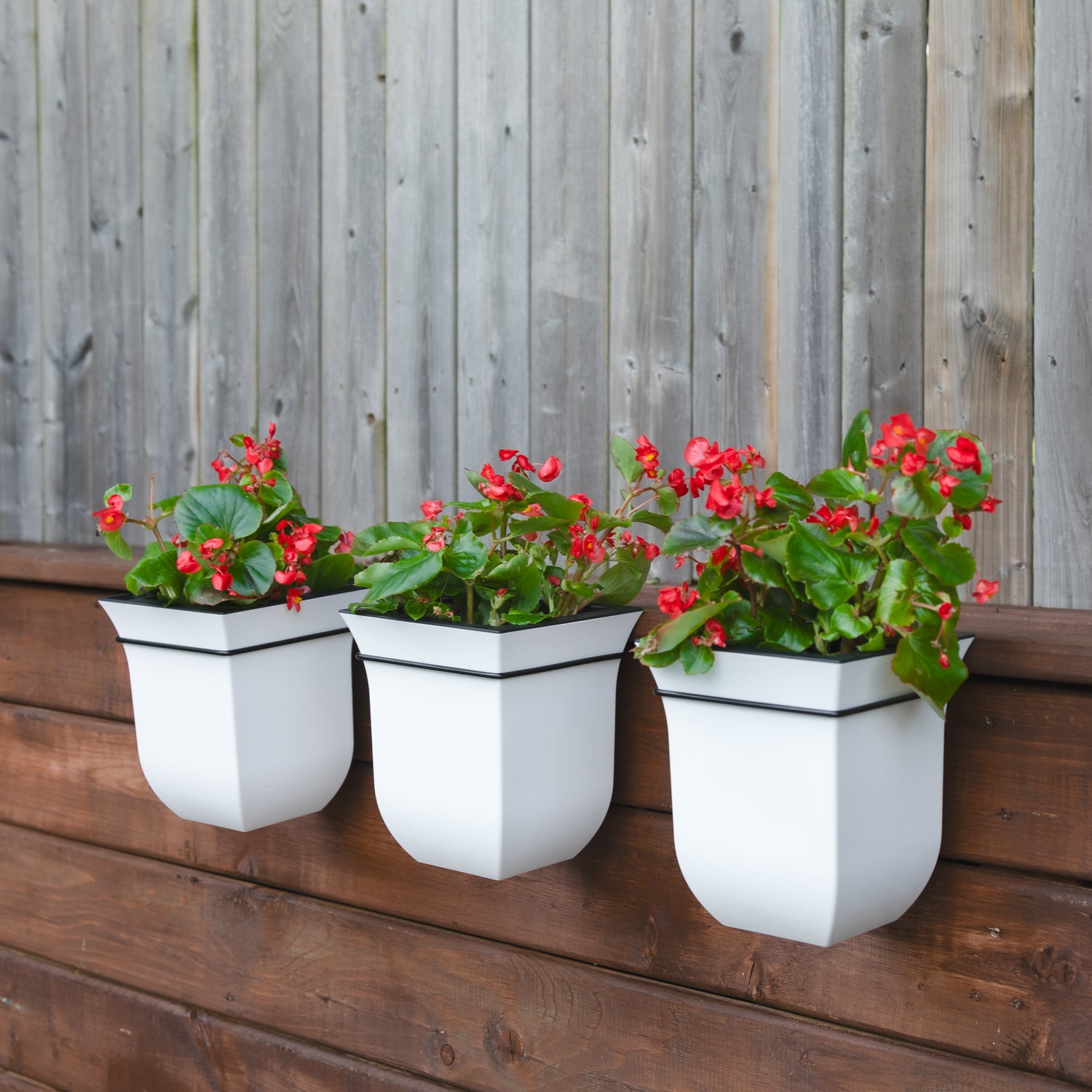 Valencia 8in Wall Mount Planter - 3-Pack