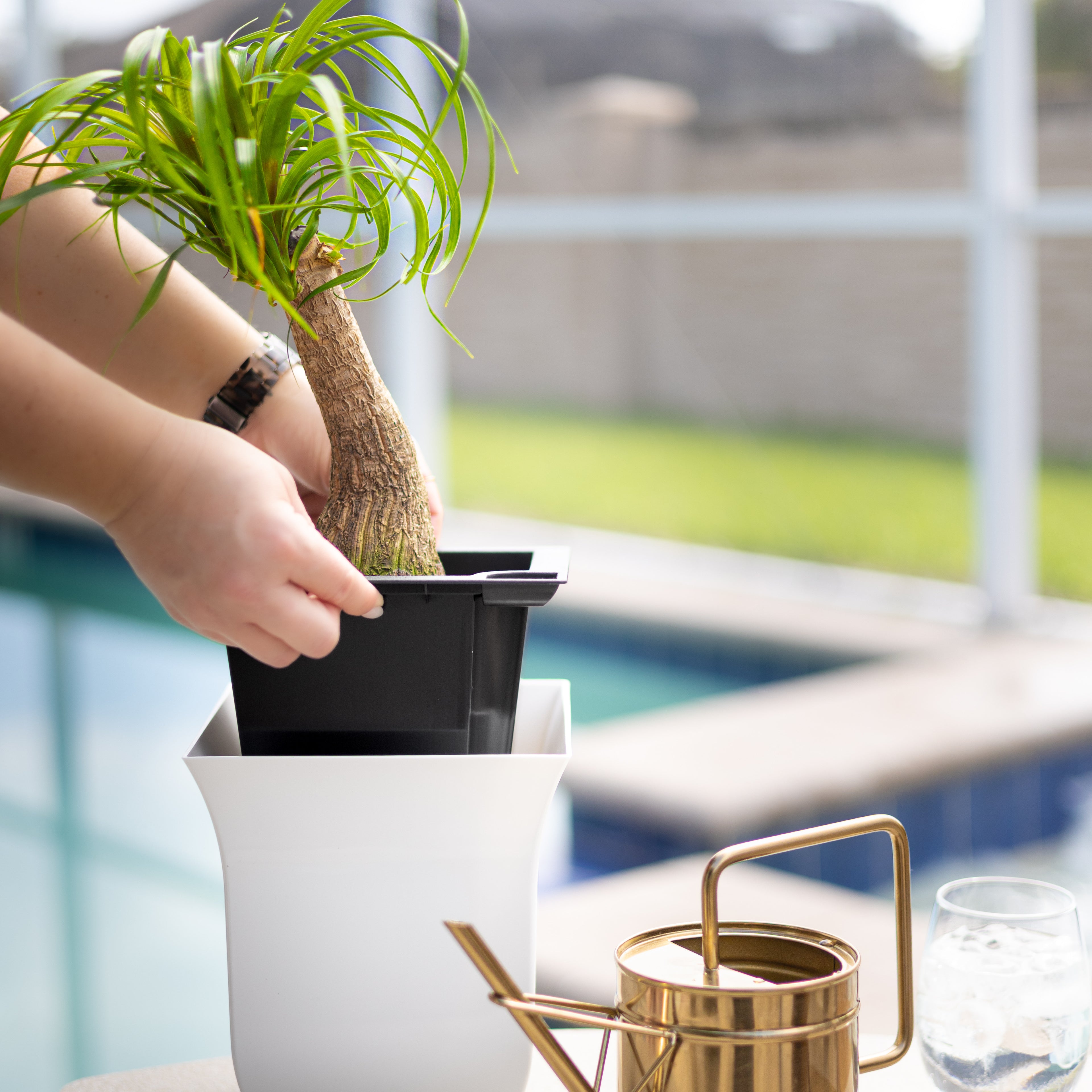 Mayne Valencia 8-Inch Self-Watering Wall Mount Planter (3-Pack)