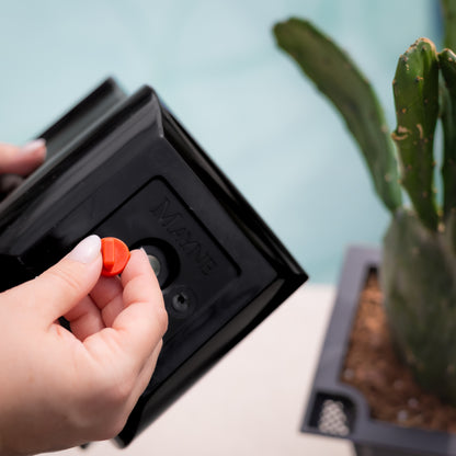 Mayne Valencia 8-Inch Self-Watering Wall Mount Planter (3-Pack)