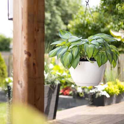 Mayne Caprio 14-Inch Self-Watering Hanging Planter with Water Level Indicator