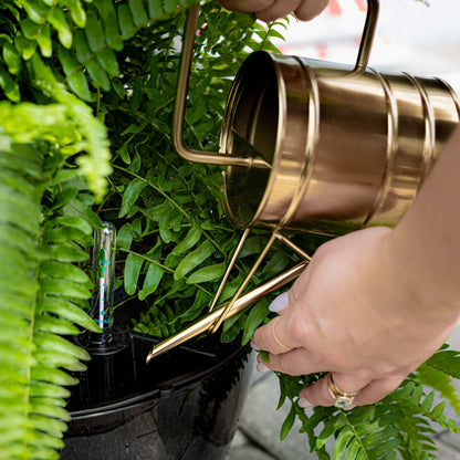 Mayne Caprio 14-Inch Self-Watering Hanging Planter with Water Level Indicator