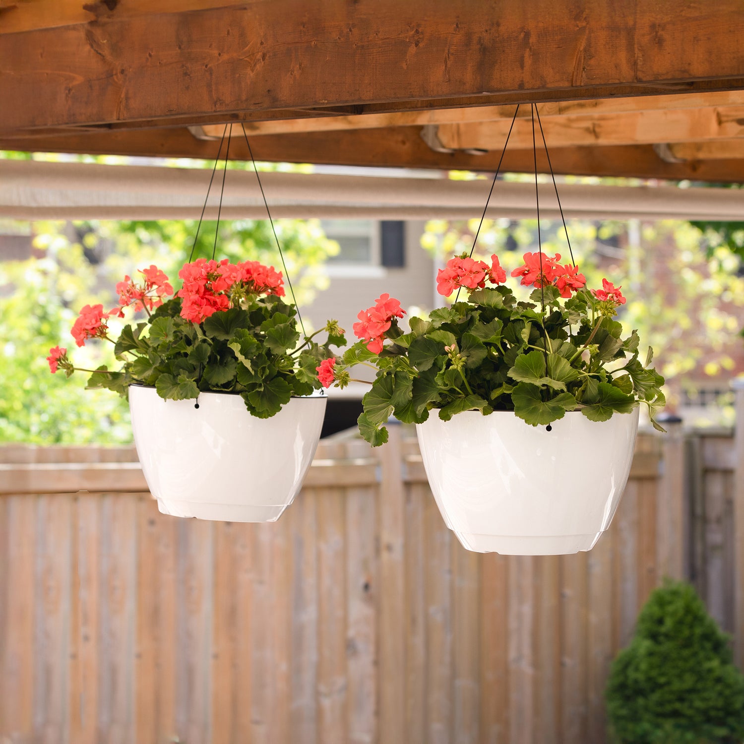 Caprio Hanging Planter (2-Pack)