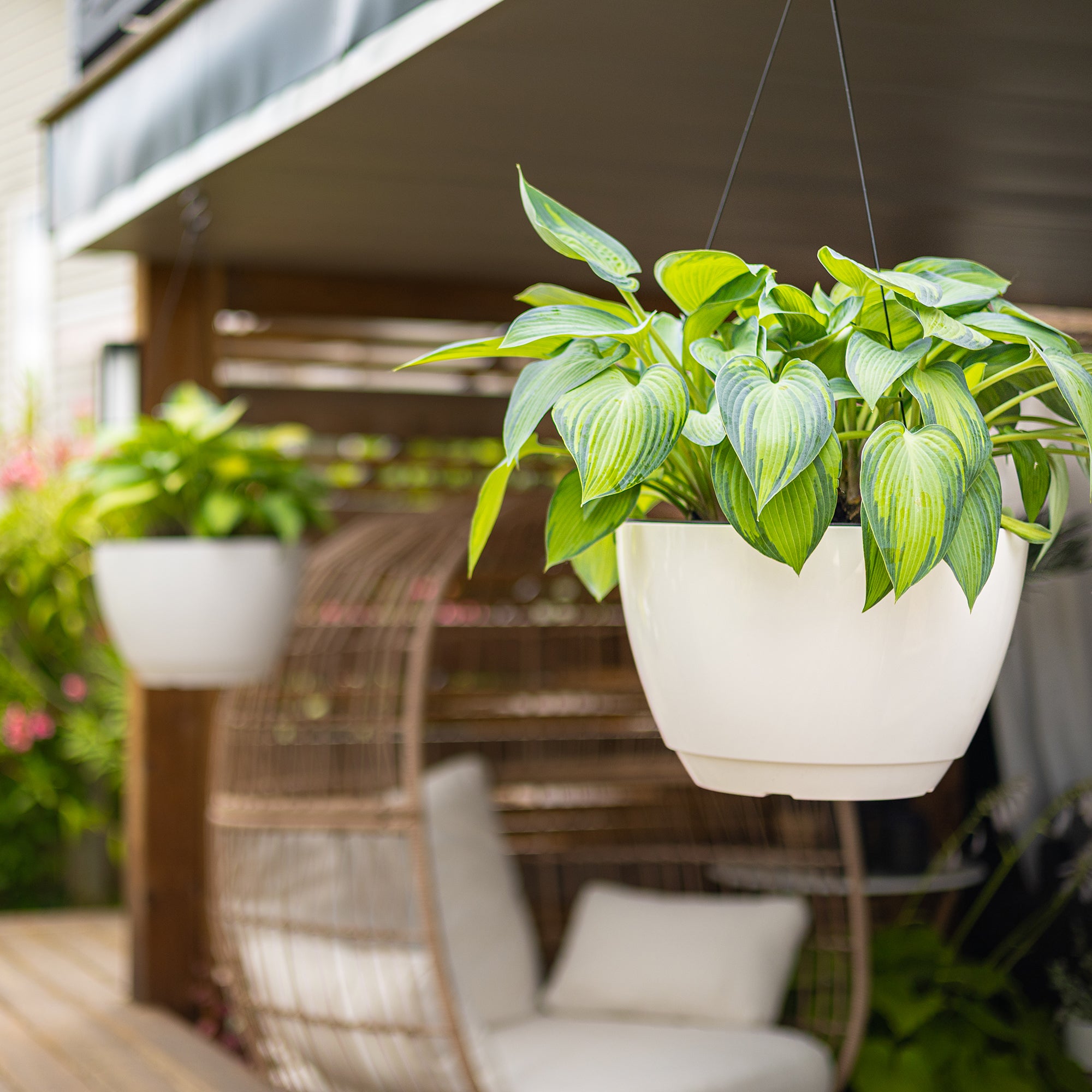 Mayne Caprio 14-Inch Self-Watering Hanging Planter with Water Level Indicator (2-Pack)