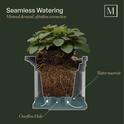 Mayne Nantucket 3ft Self-Watering Window Box with Steel Wall Mount Brackets