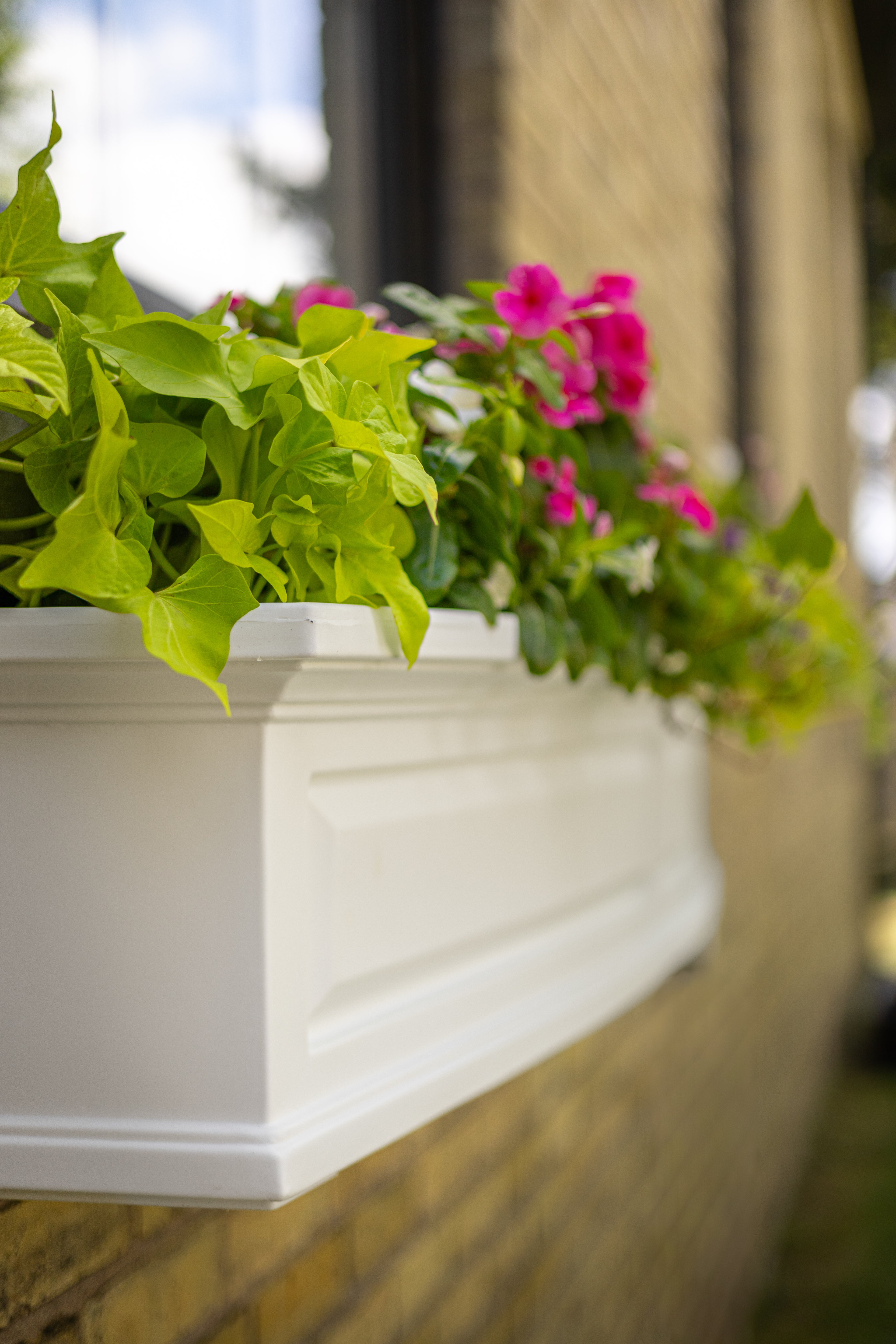 Mayne Nantucket 3ft Self-Watering Window Box with Steel Wall Mount Brackets