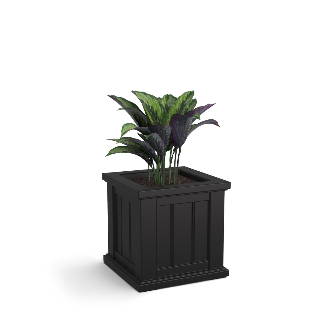 Mayne Cape Cod 14x14-Inch Self-Watering Square Planter
