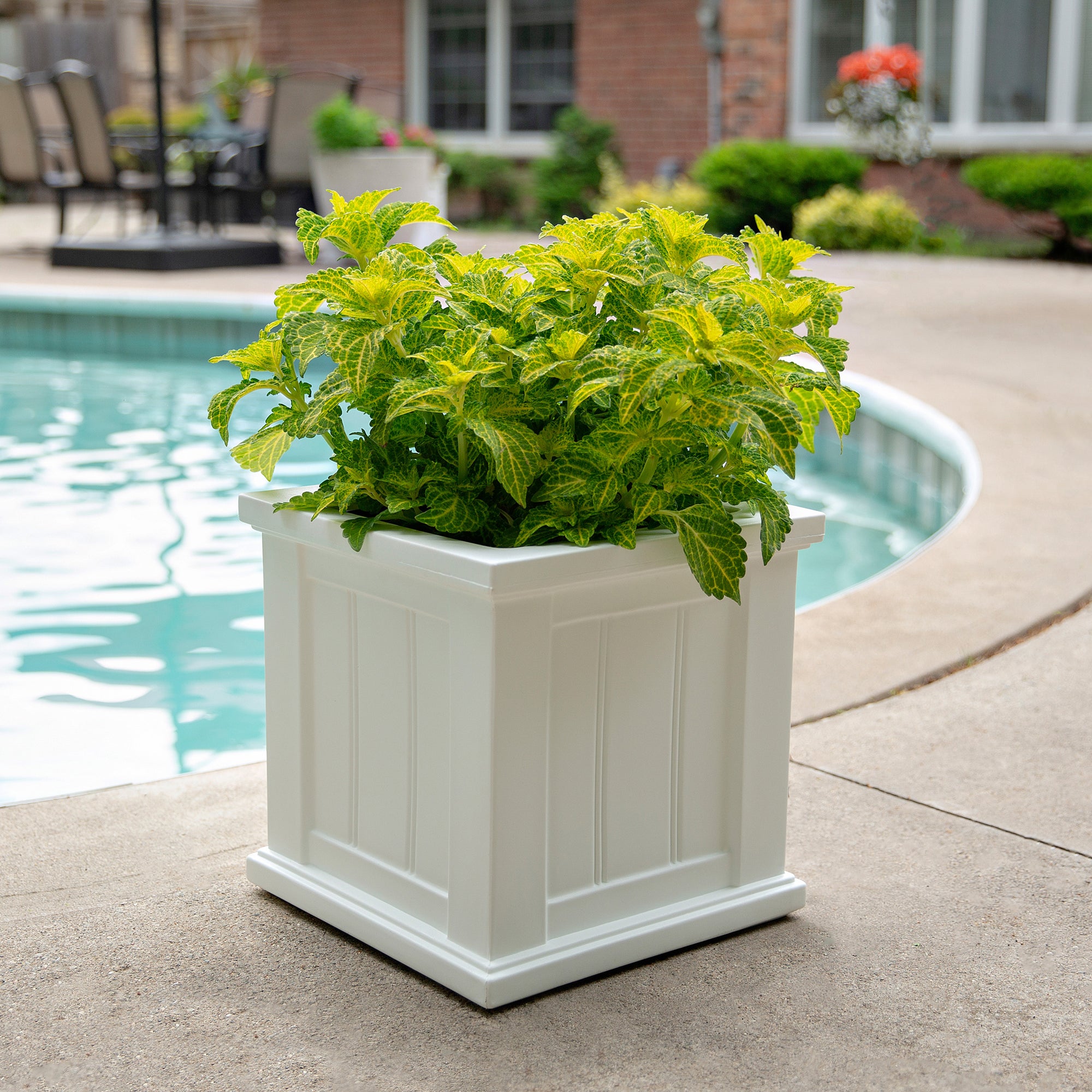 Mayne Cape Cod 14x14-Inch Self-Watering Square Planter
