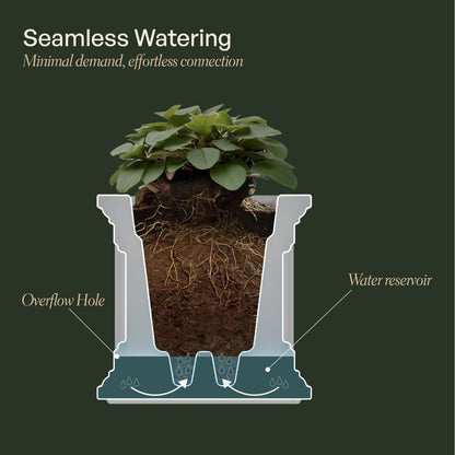 Mayne Cape Cod 16x16-Inch Self-Watering Square Planter