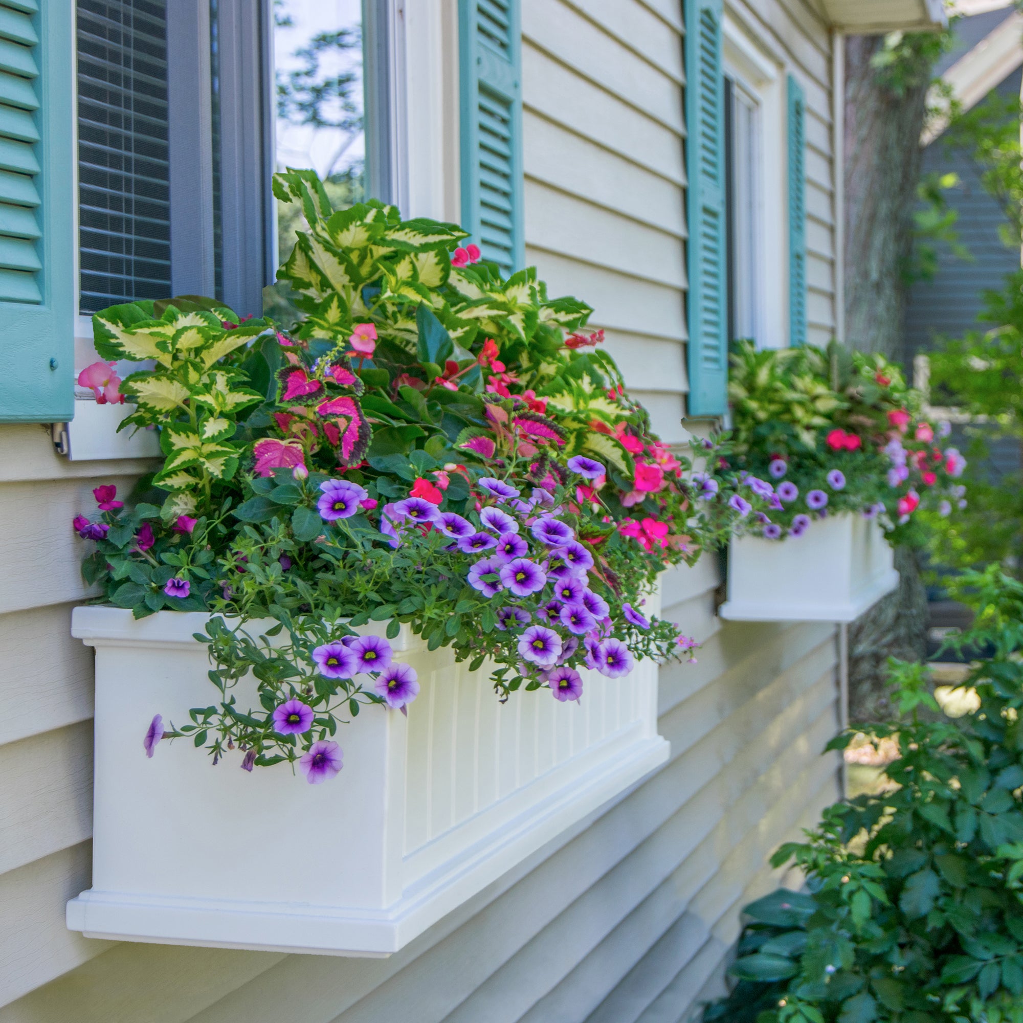 Mayne Cape Cod 4ft Self-Watering Window Box with Steel Wall Mount Brackets