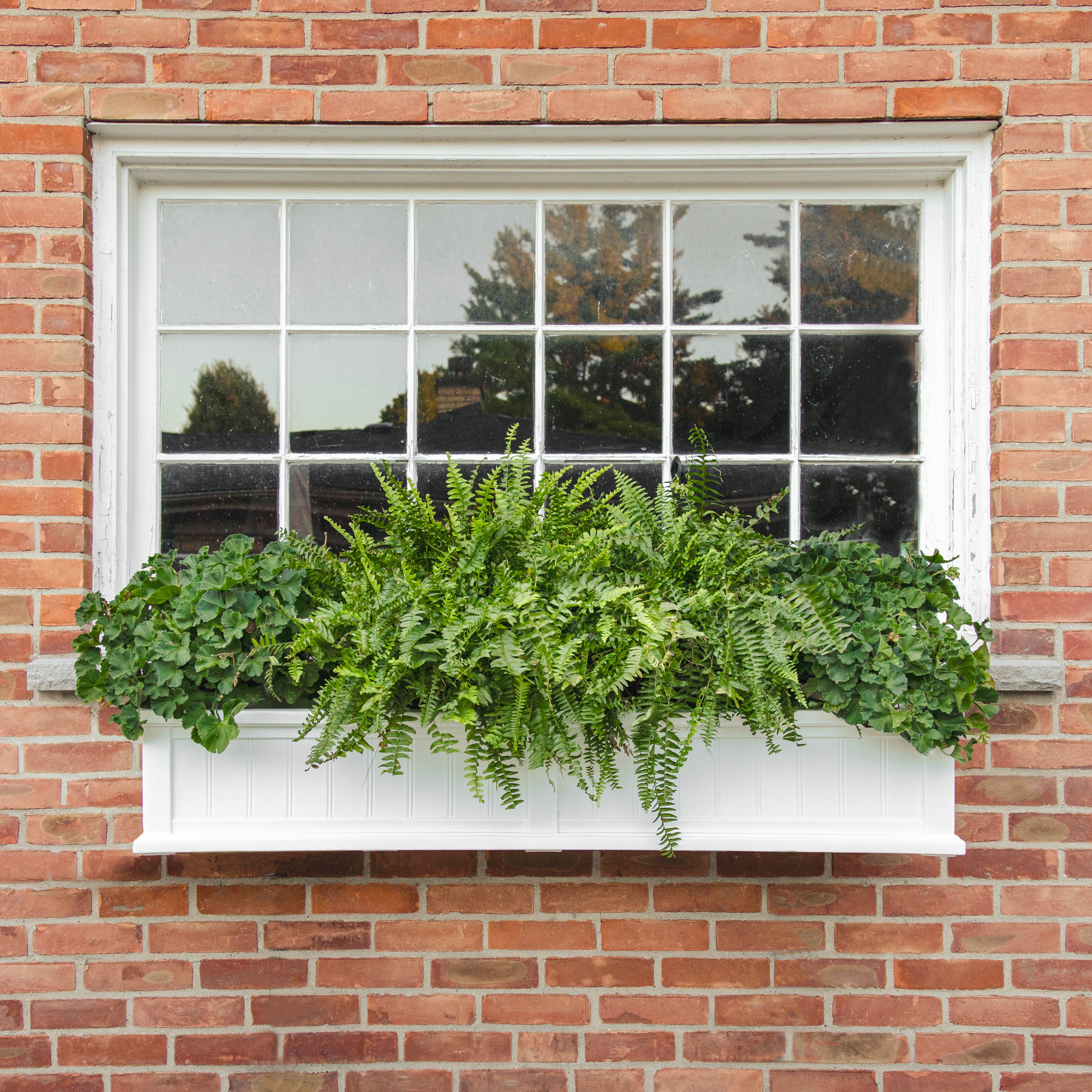 Mayne Cape Cod 5ft Window Box