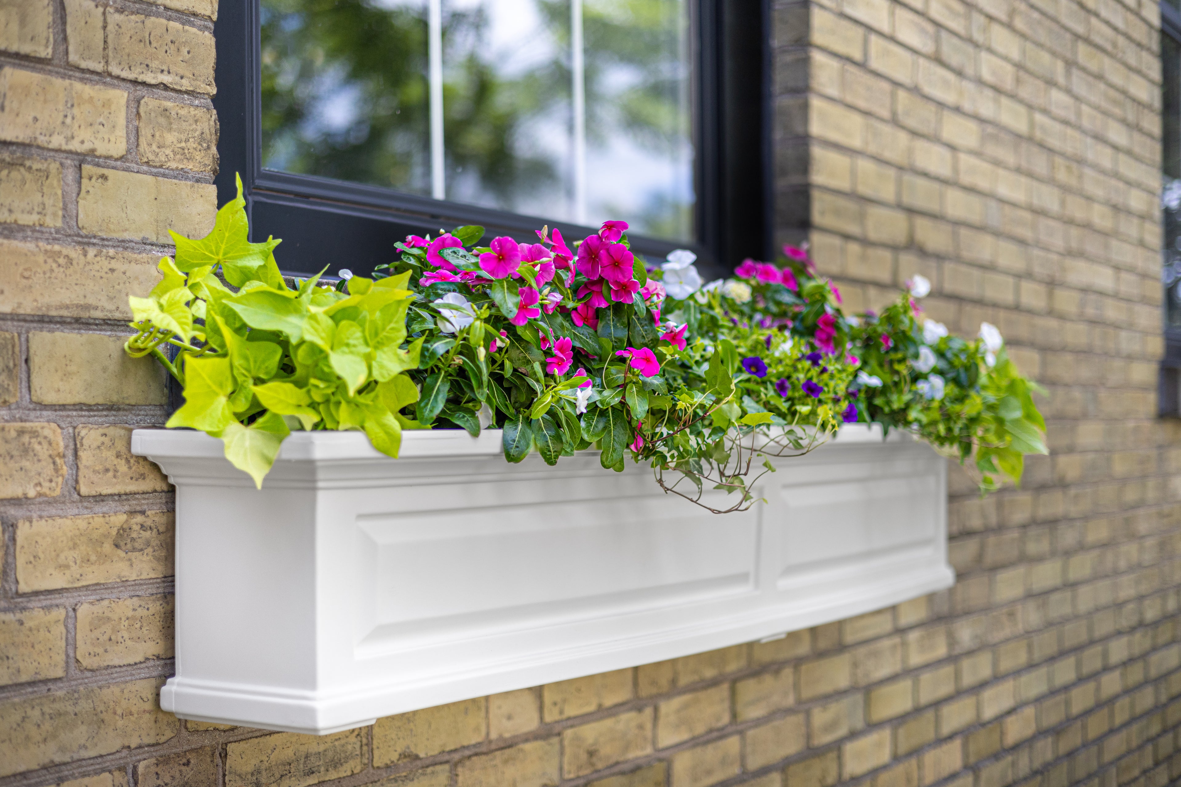 Mayne Nantucket 6ft Self-Watering Window Box with Steel Wall Mount Brackets